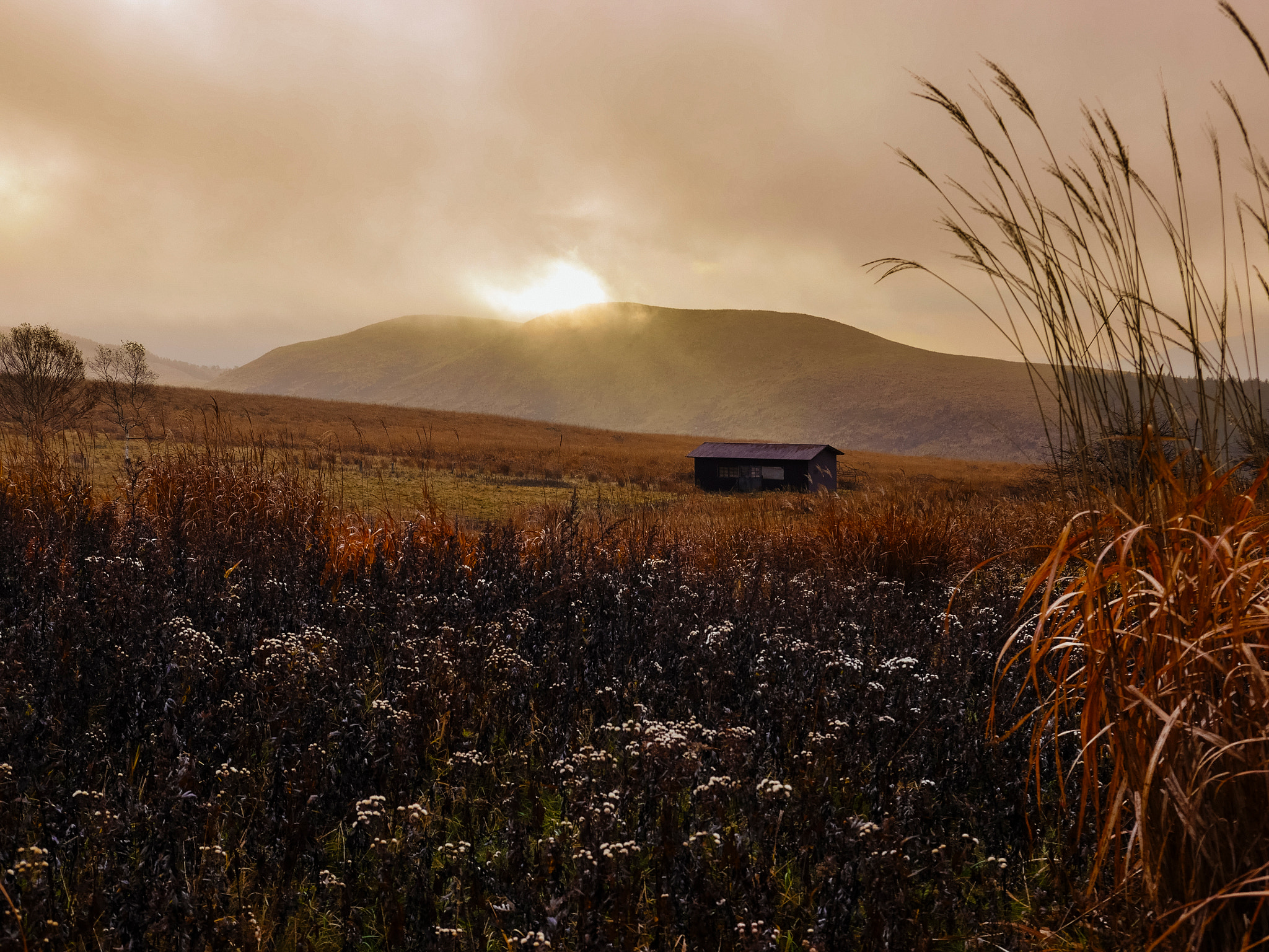 LUMIX G VARIO 14-42/F3.5-5.6 II sample photo. Plateau photography