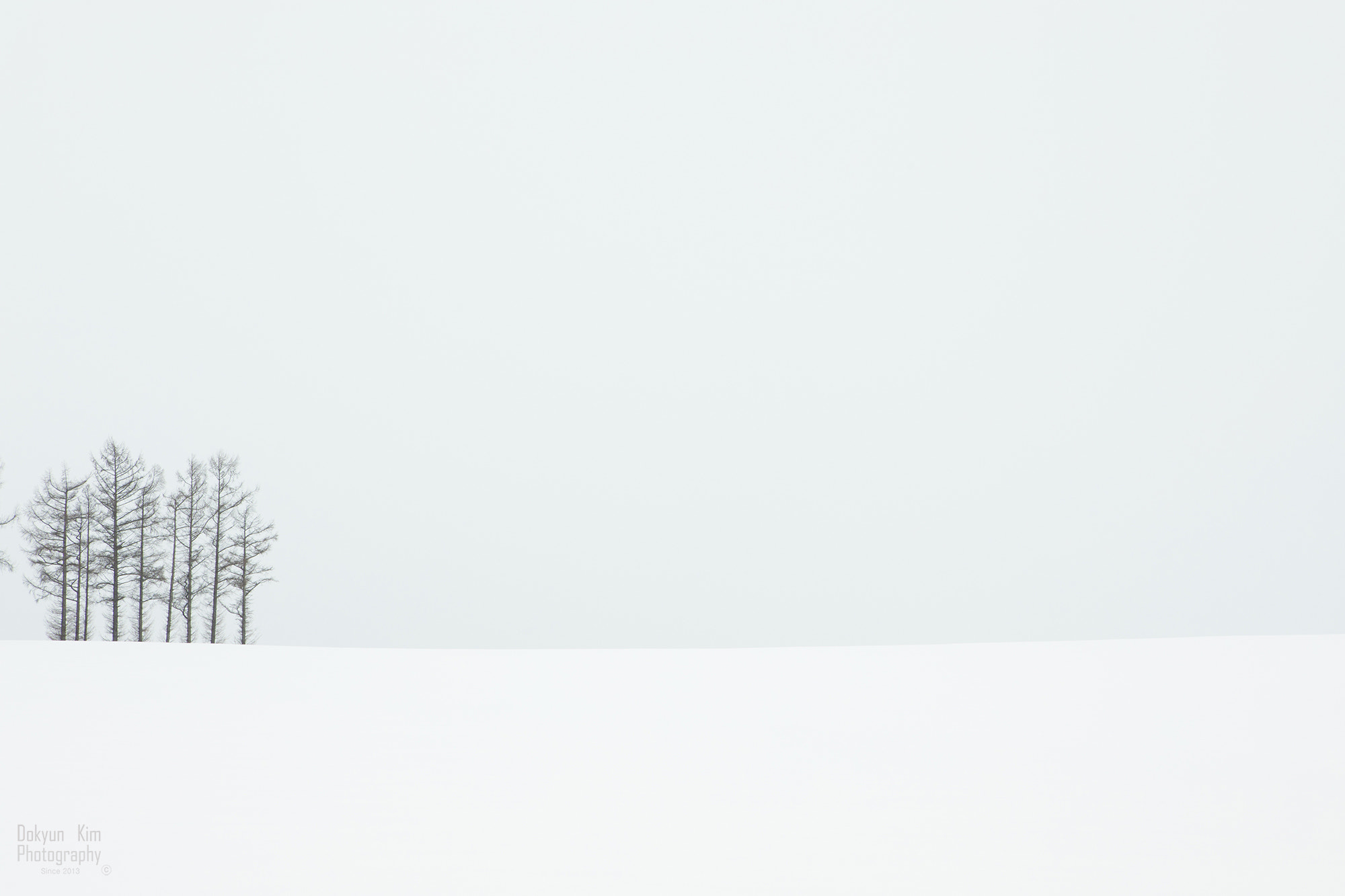 Canon EF 24-70mm F2.8L USM sample photo. White photography