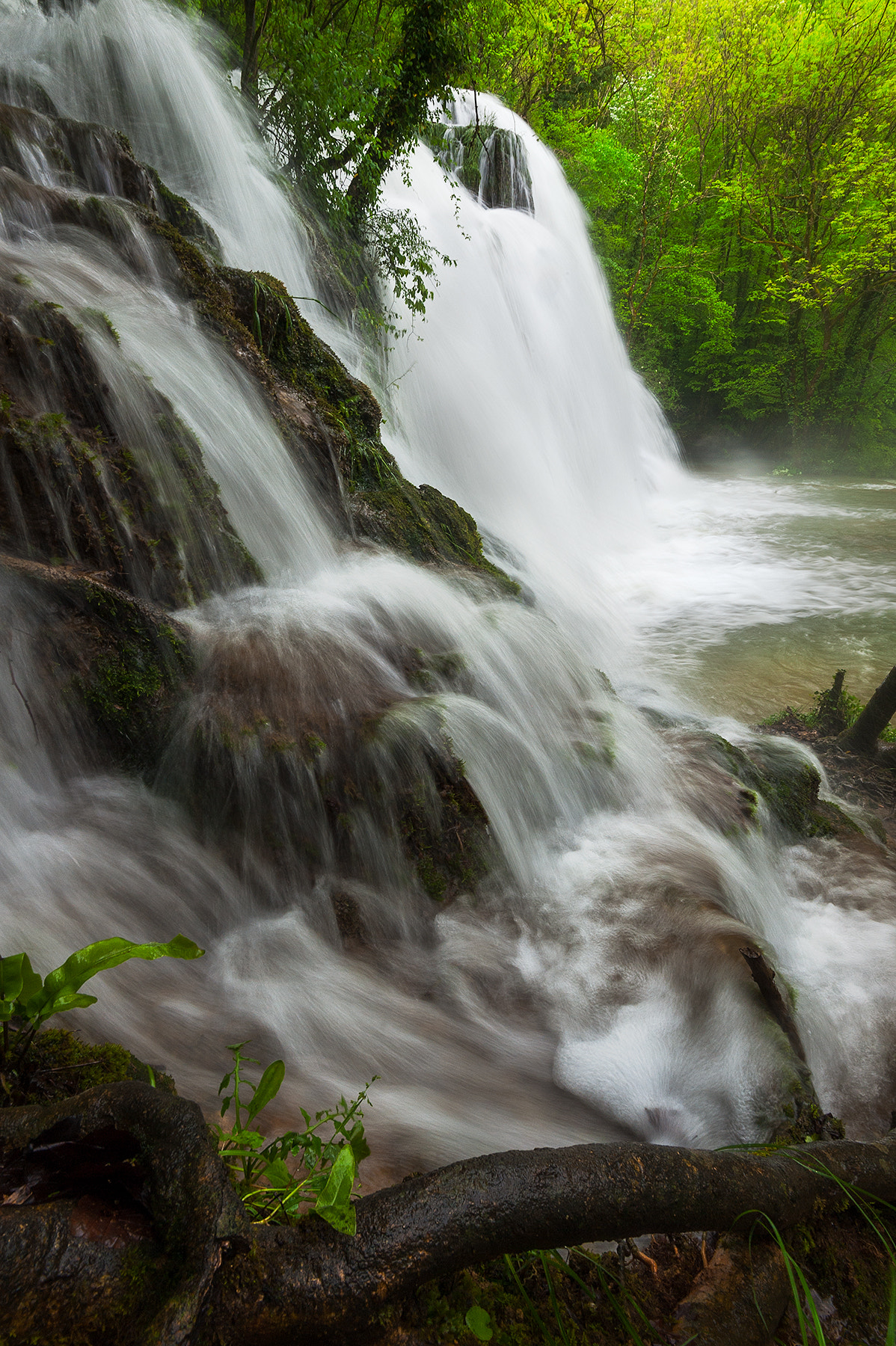 Nikon AF-S Nikkor 16-35mm F4G ED VR sample photo. Overflow iii photography