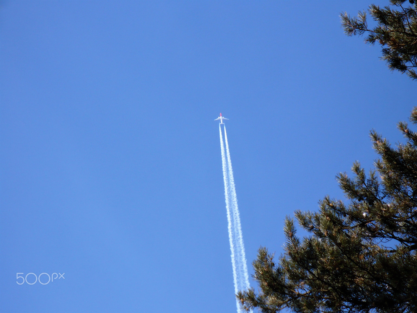 Panasonic DMC-LZ7 sample photo. Flying to the sea photography