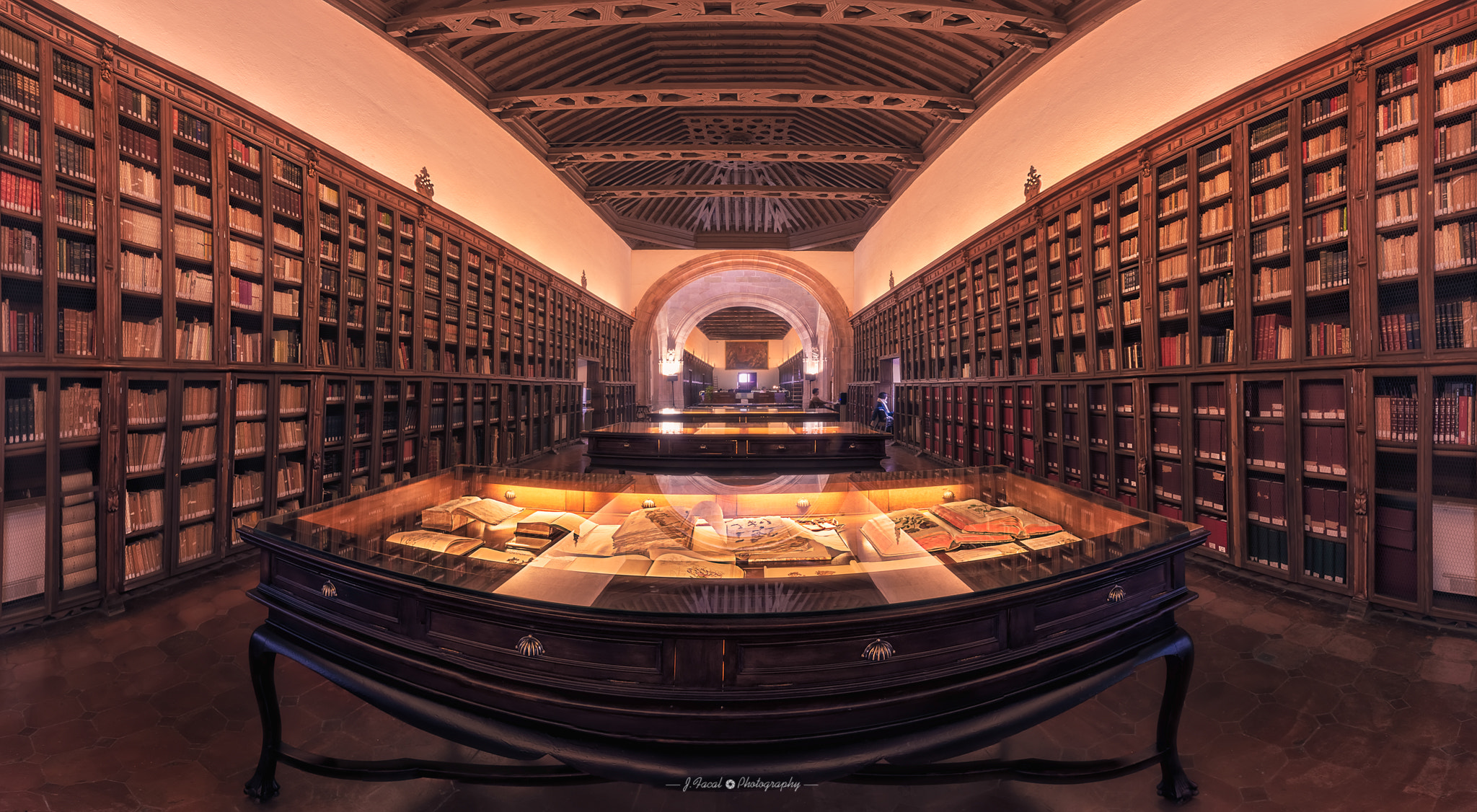 Tamron SP 15-30mm F2.8 Di VC USD sample photo. Royal hospital library ii photography
