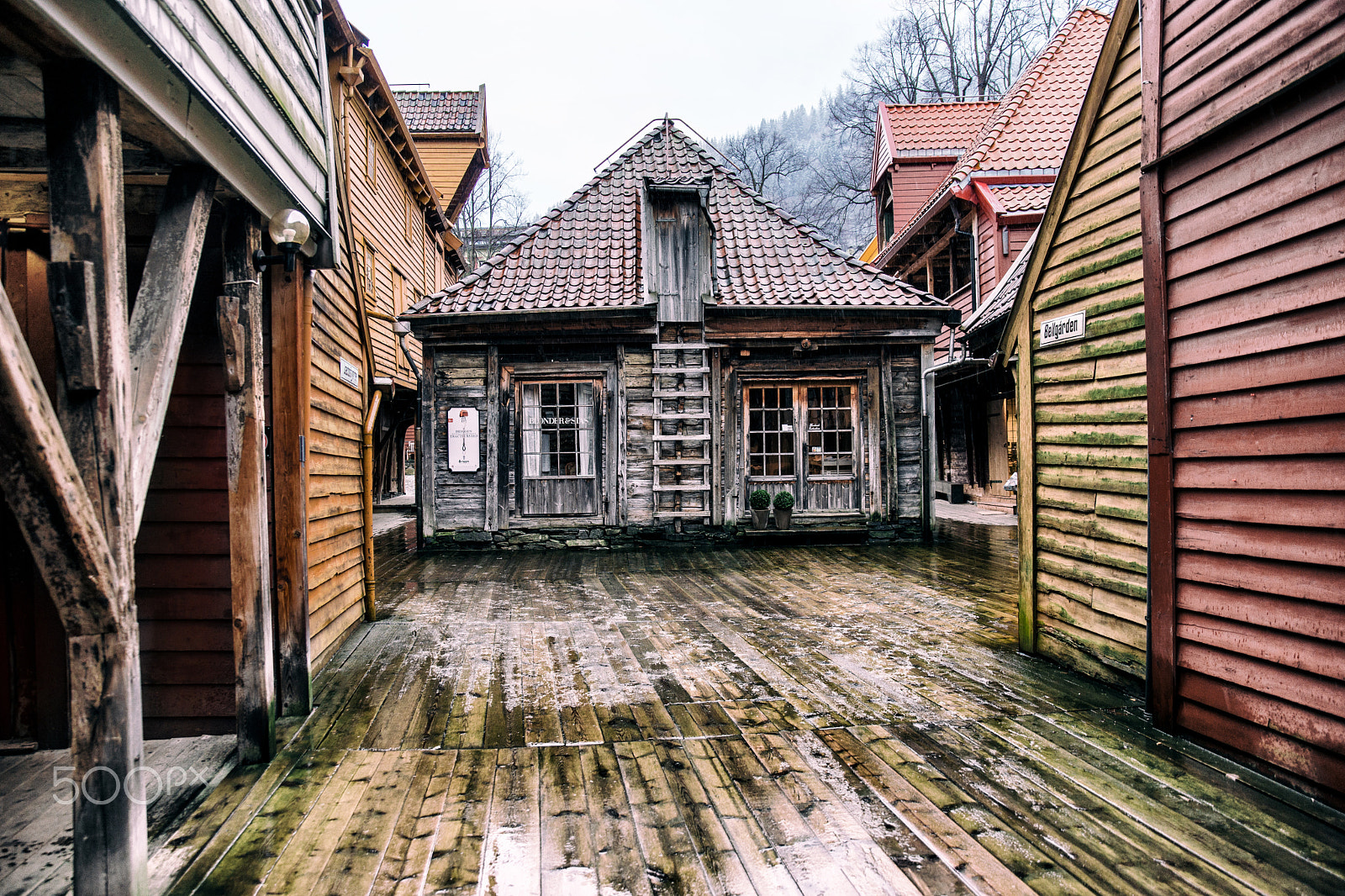 Sony a99 II + Tamron SP 24-70mm F2.8 Di VC USD sample photo. Old bergen. photography