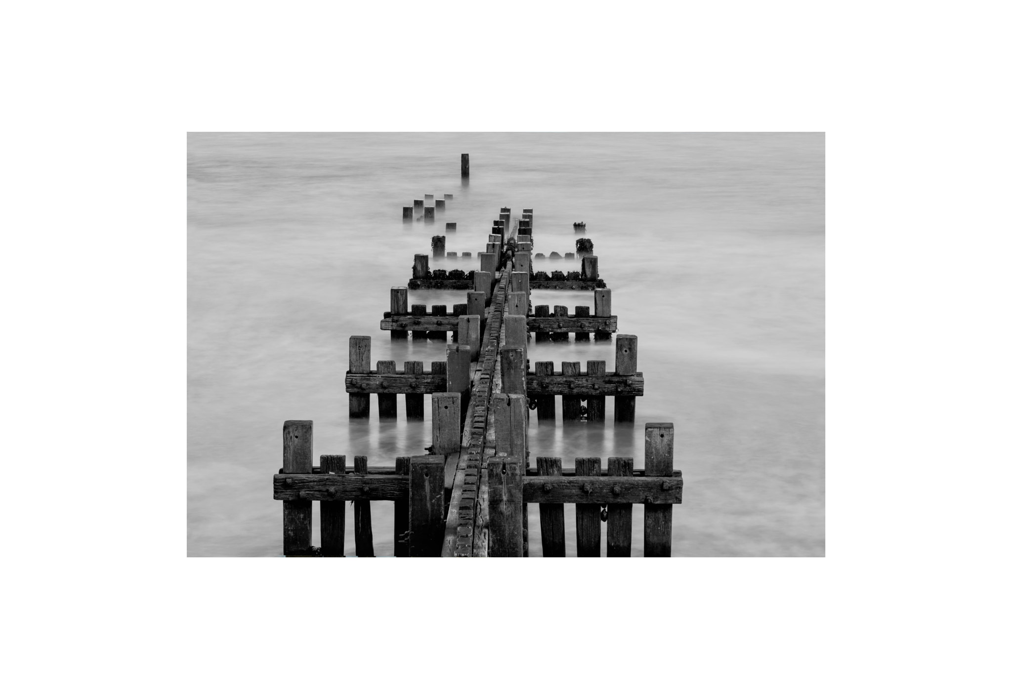 Nikon D500 sample photo. Way of the water photography