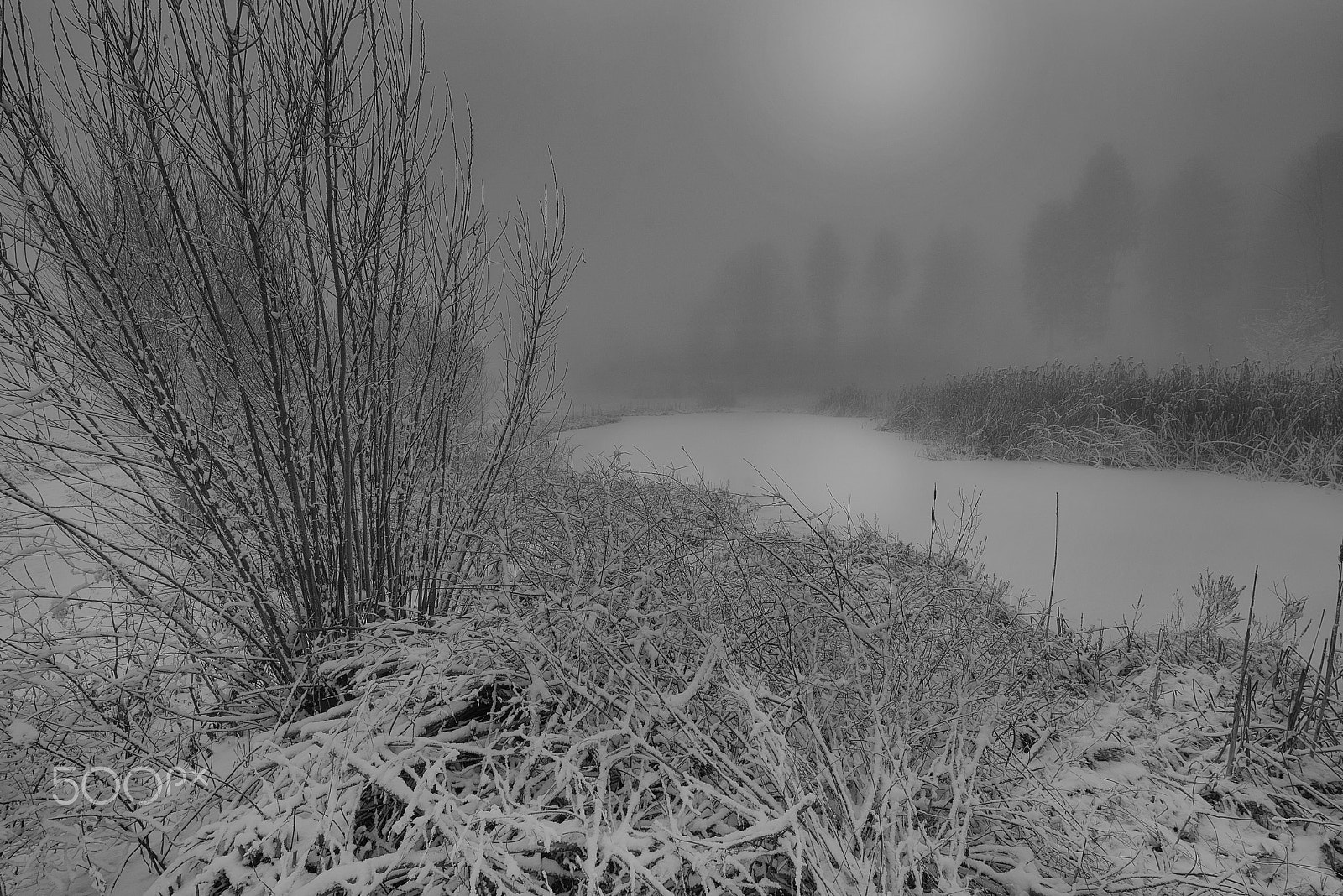 Nikon AF-S Nikkor 14-24mm F2.8G ED sample photo. Winter am weiher photography