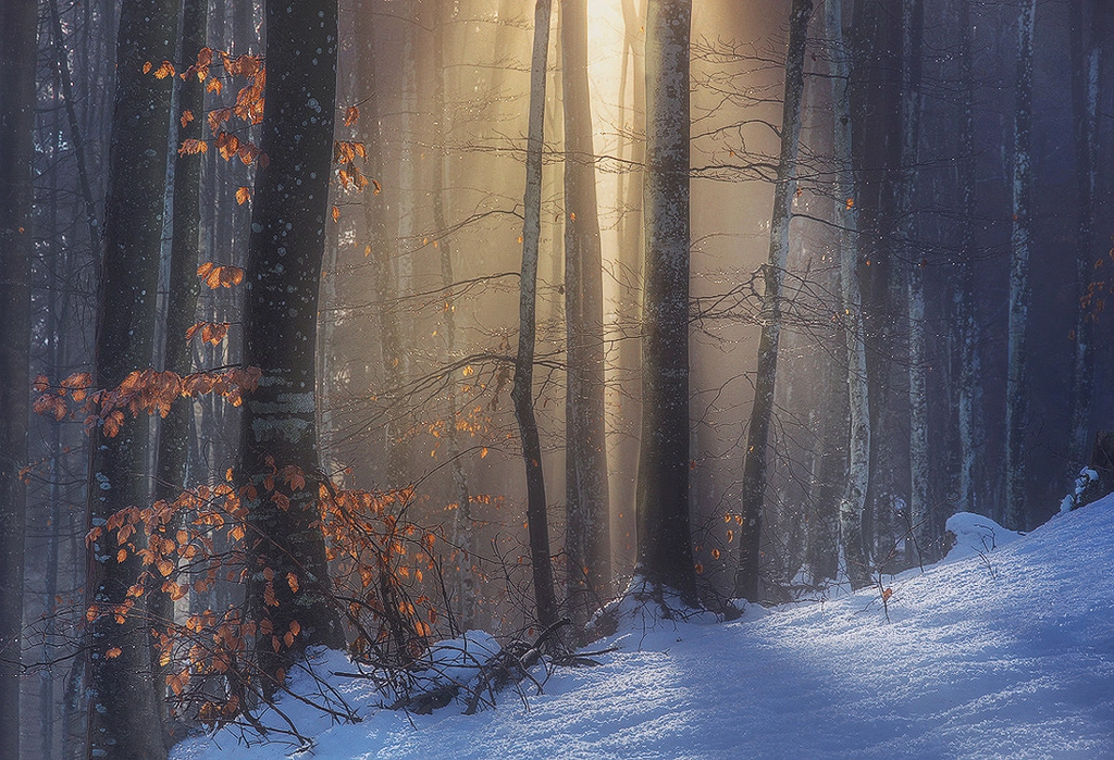 Homecoming by Dino Marsango on 500px.com