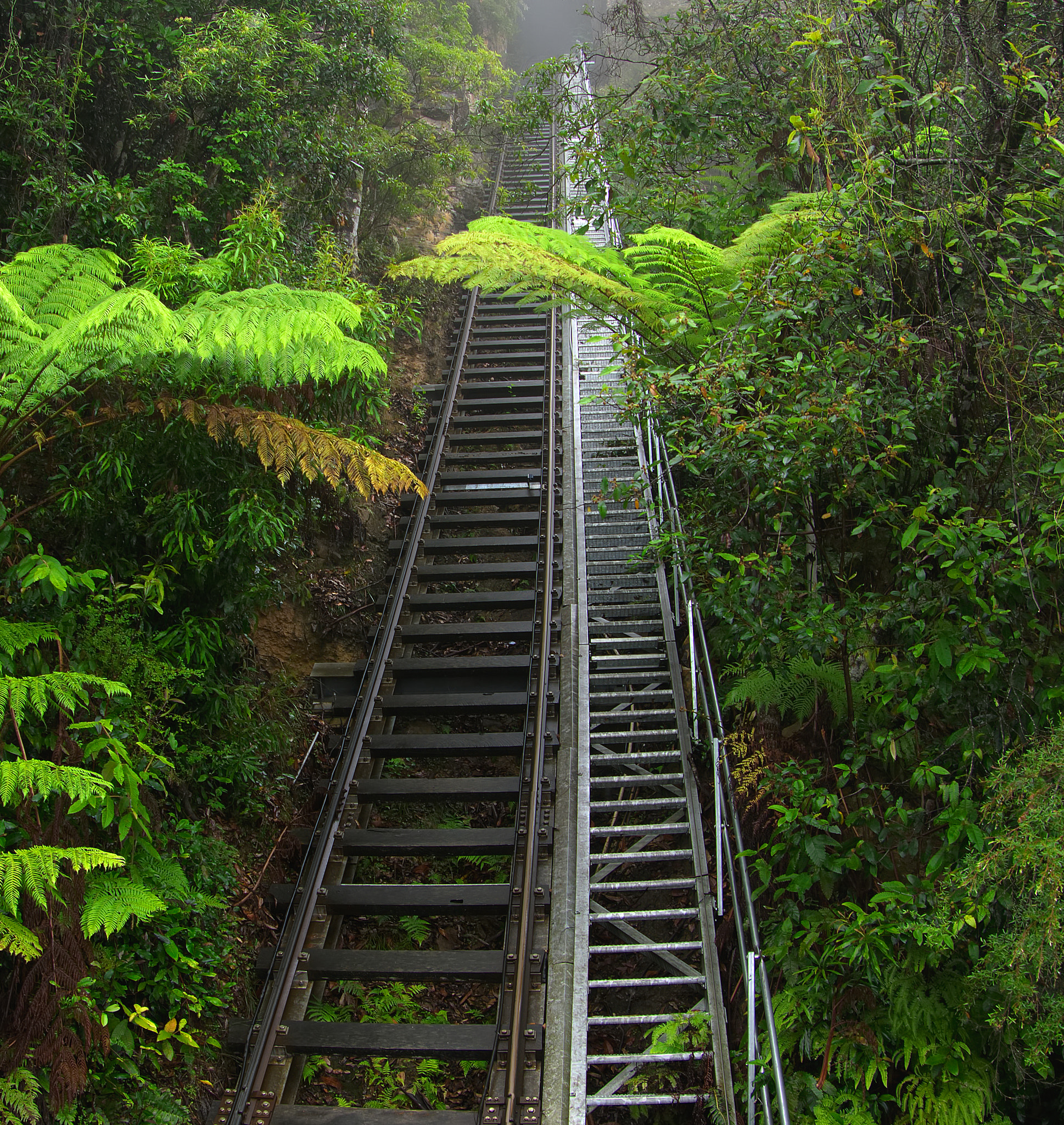 Panasonic Lumix G Vario 14-140mm F3.5-5.6 ASPH Power O.I.S sample photo. The world's steepest railway photography