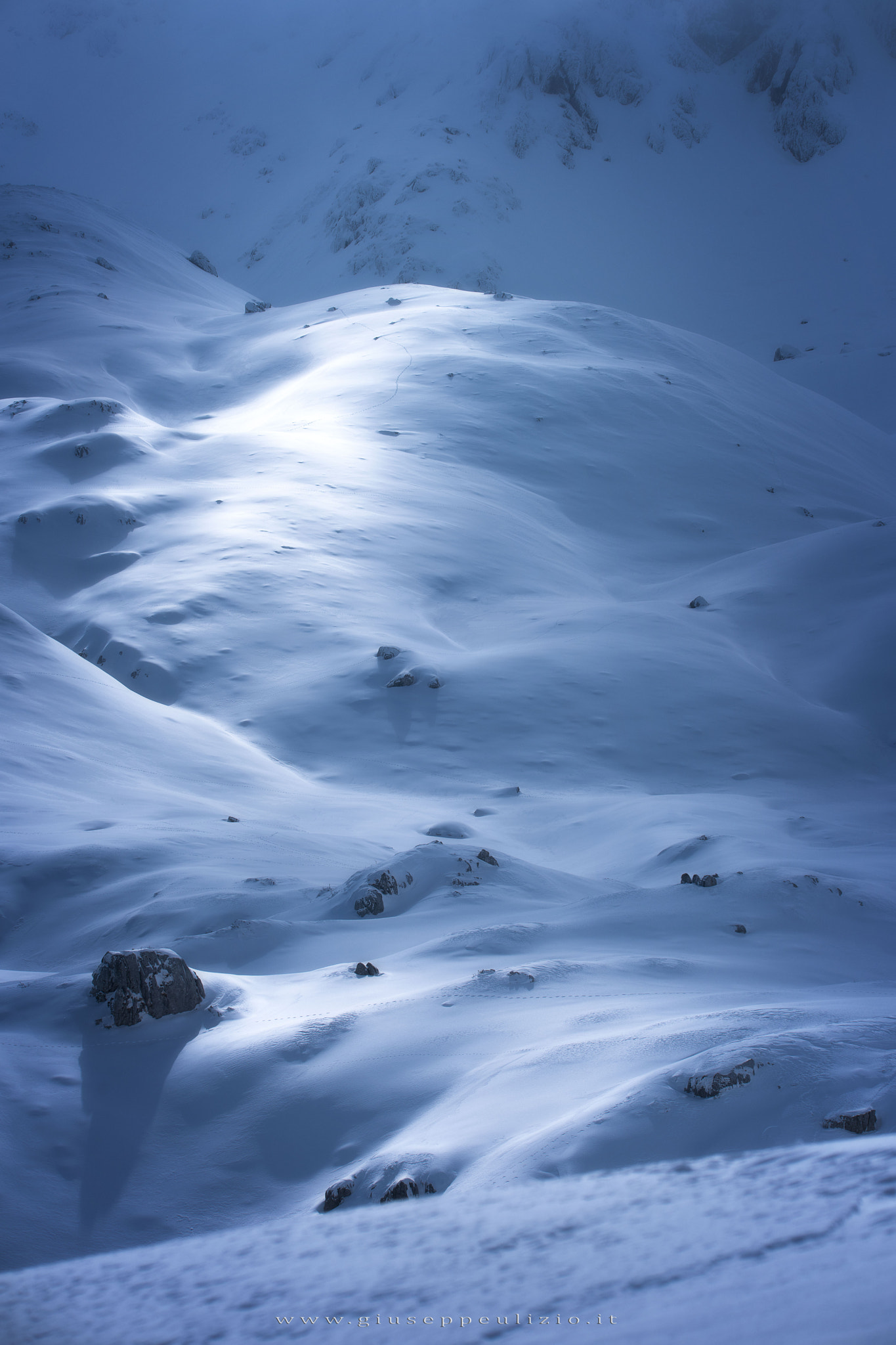 Sigma 150-600mm F5-6.3 DG OS HSM | S sample photo. Light photography