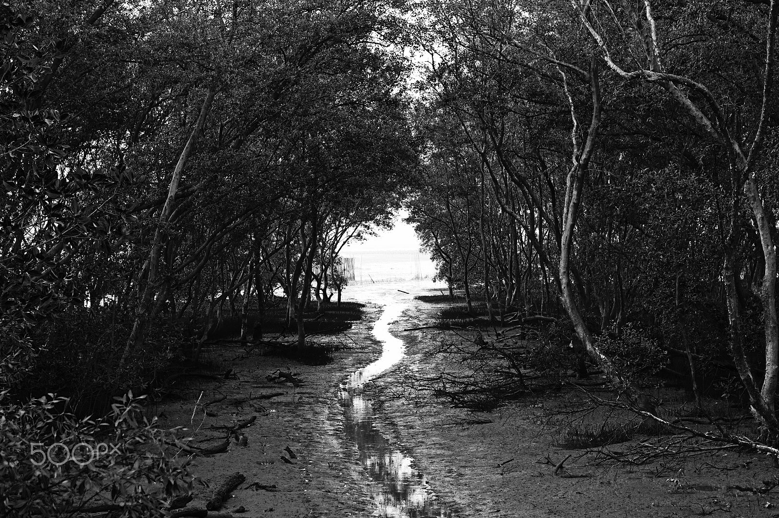 Sony Alpha a5000 (ILCE 5000) + E 50mm F1.8 OSS sample photo. Where the river meets the sea photography