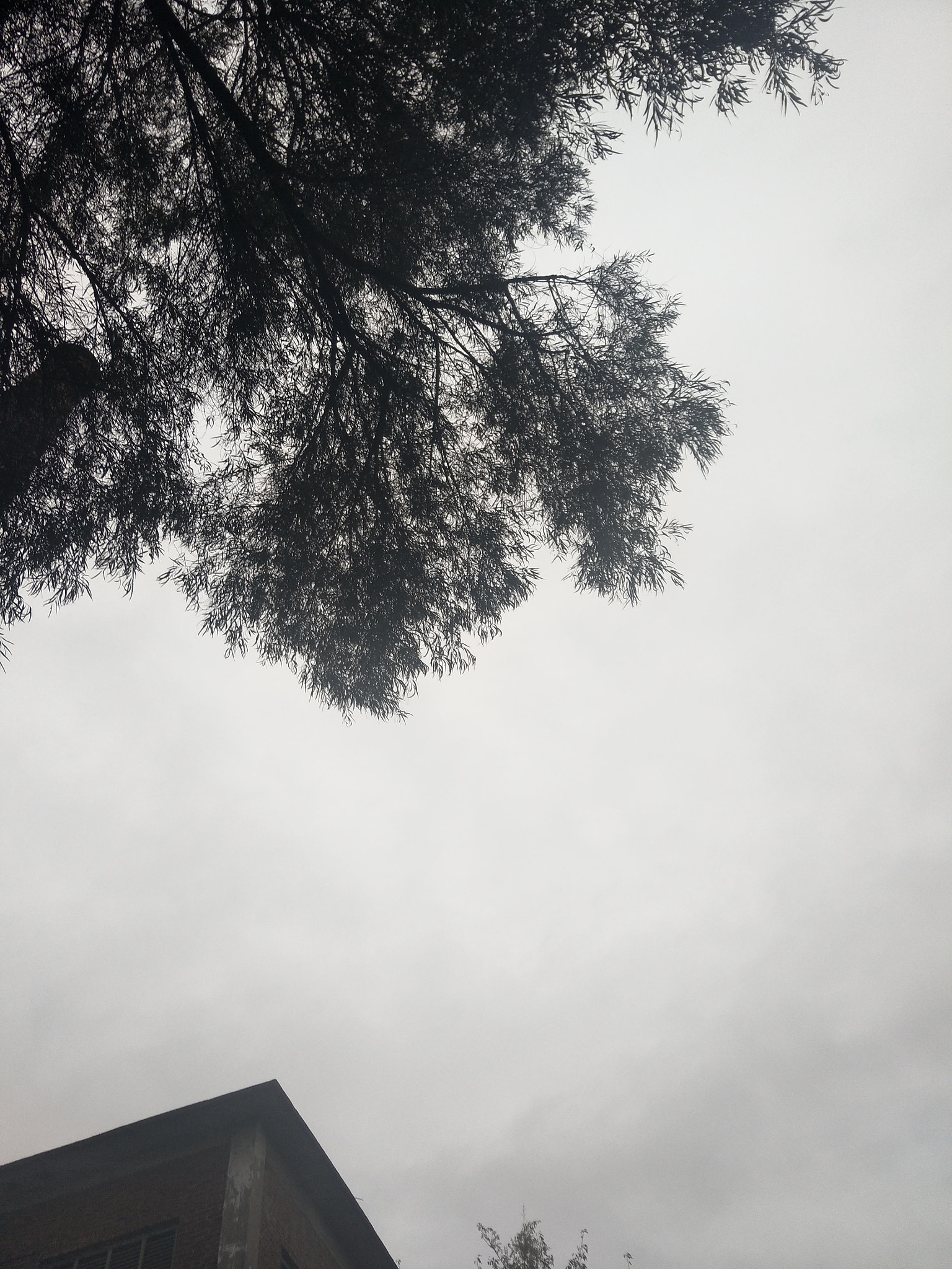 OPPO R9 PLUSTM A sample photo