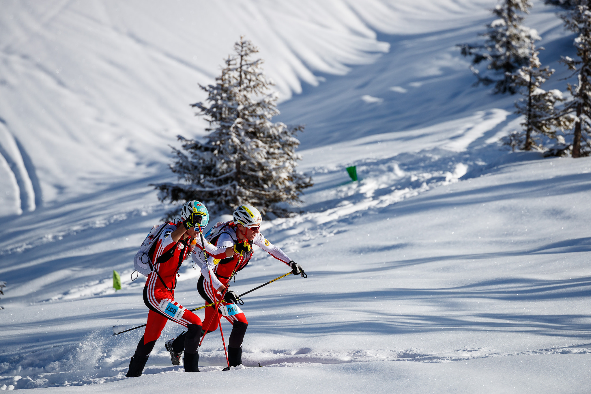 Canon EOS-1D X Mark II sample photo. Hochkönig erztrophy photography