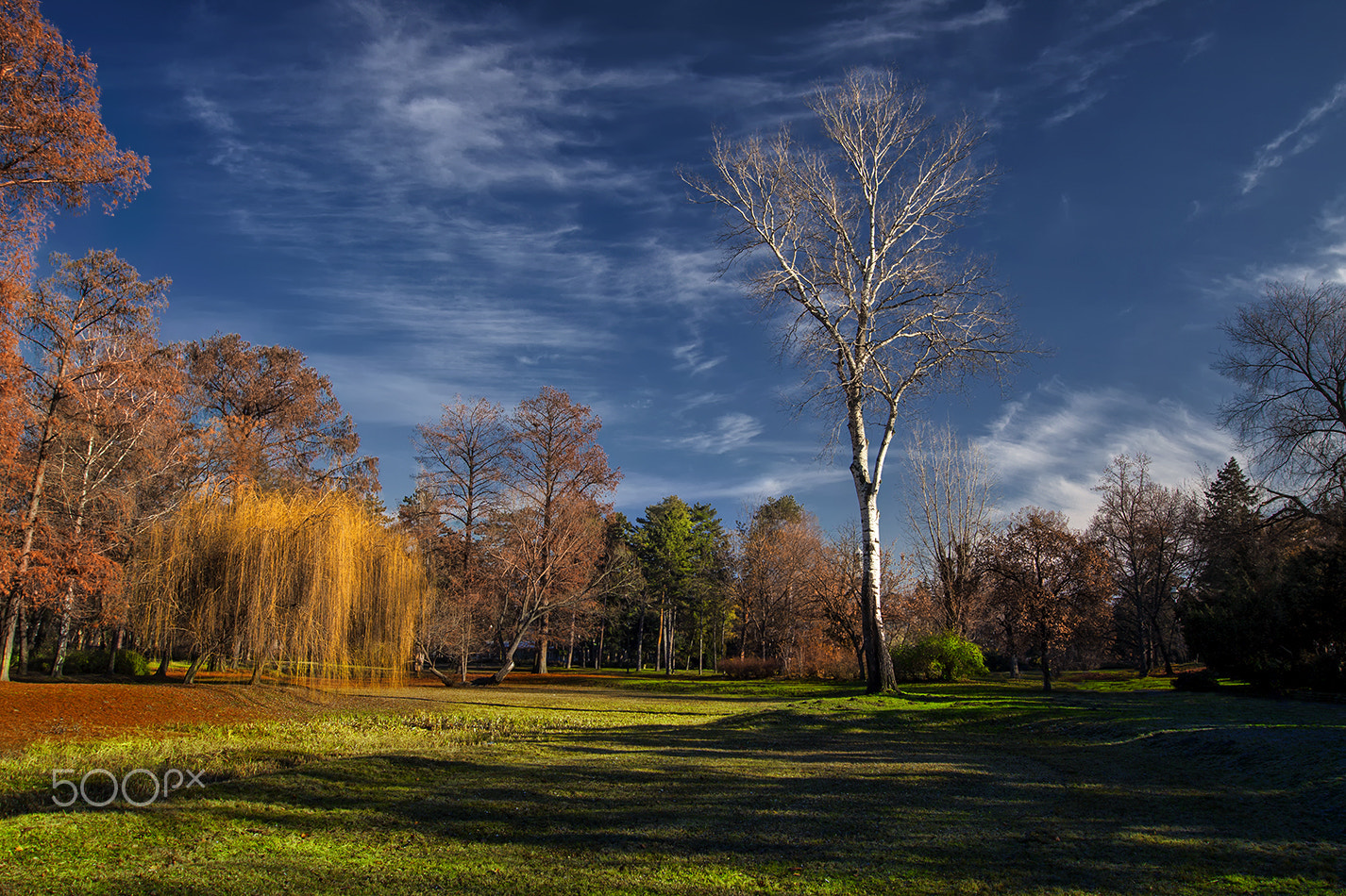Canon EF 16-35mm F2.8L II USM sample photo. Futoshki park photography
