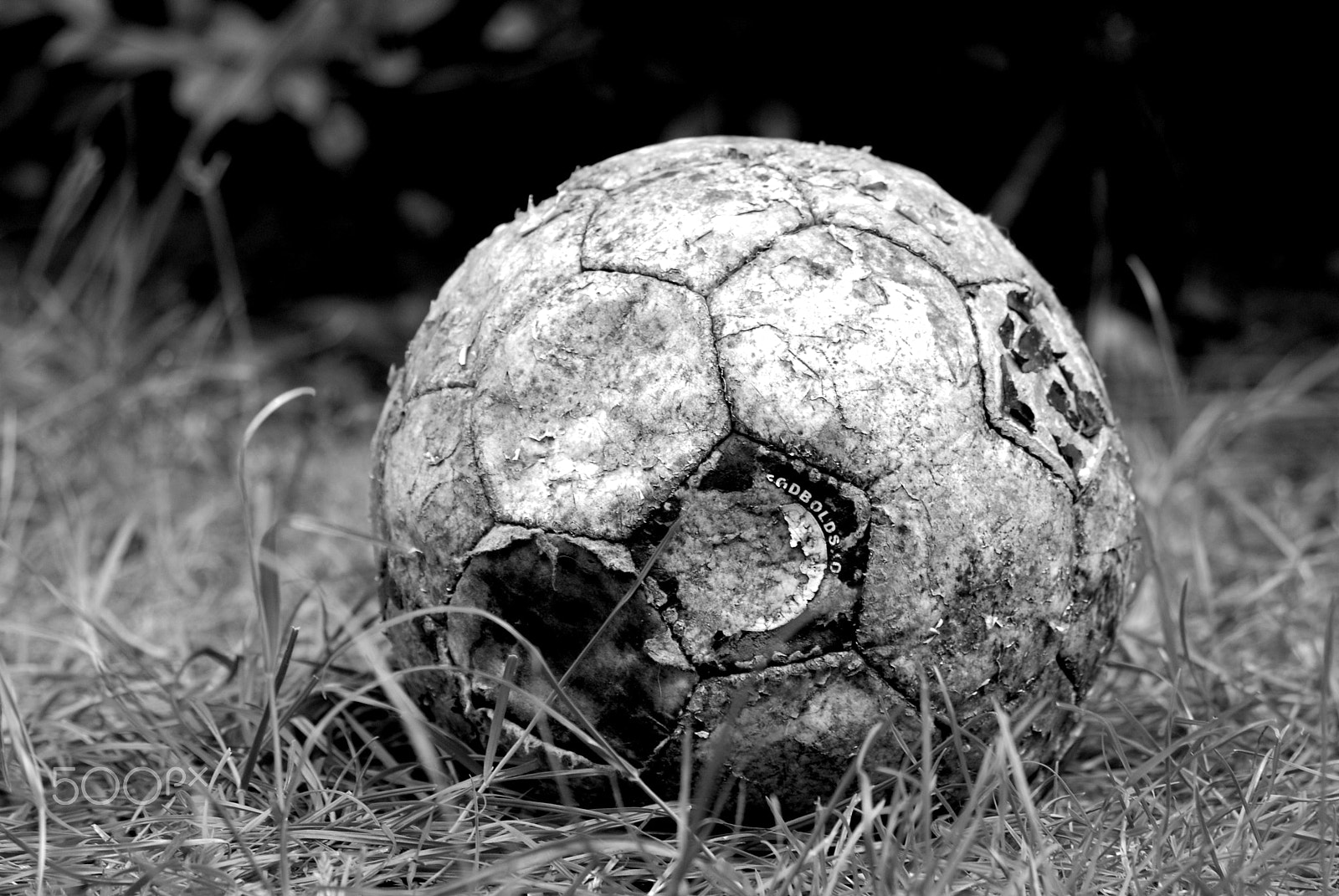 Nikon D200 sample photo. The discarded ball photography
