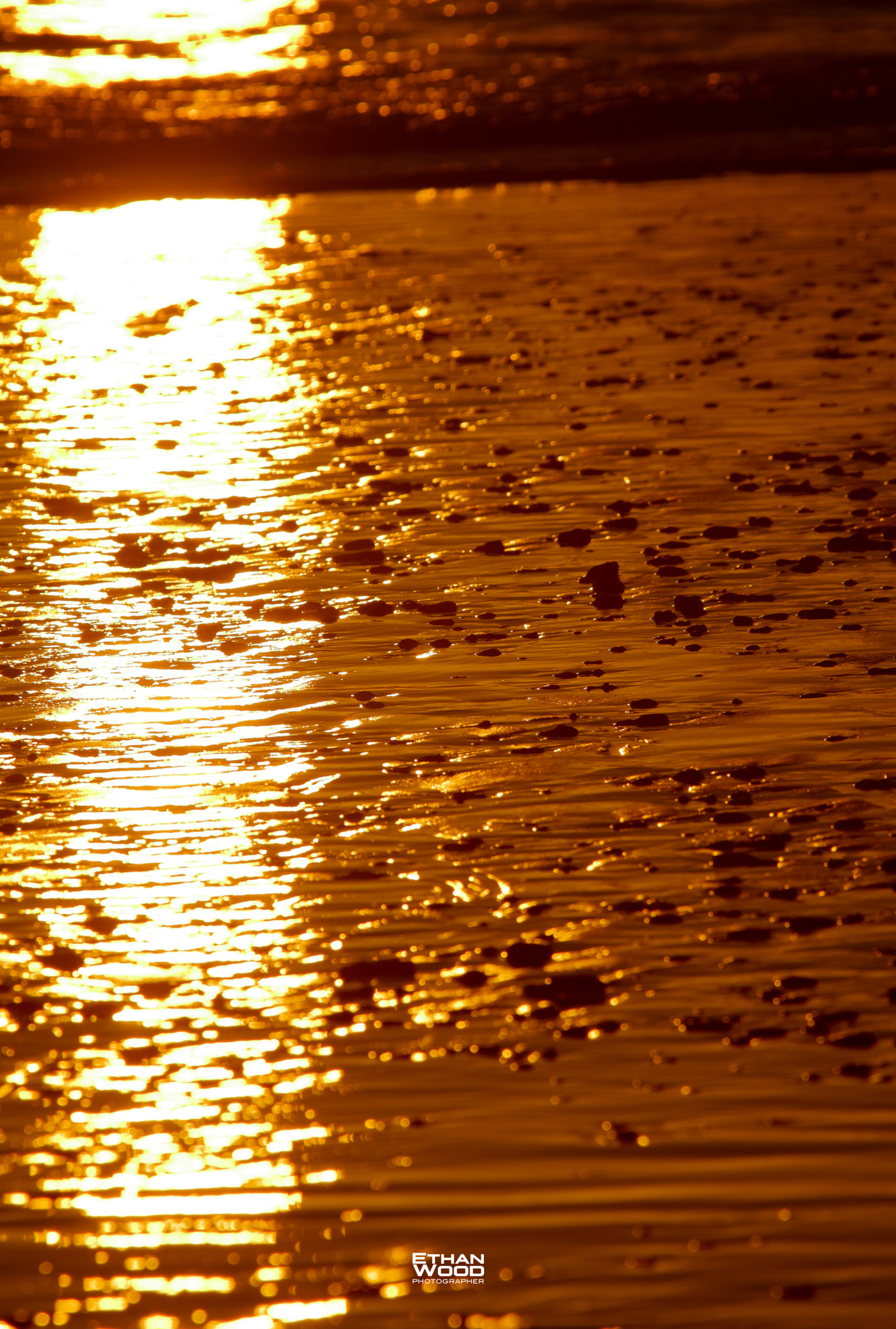 Canon EF 100-400mm F4.5-5.6L IS USM sample photo. Gold photography