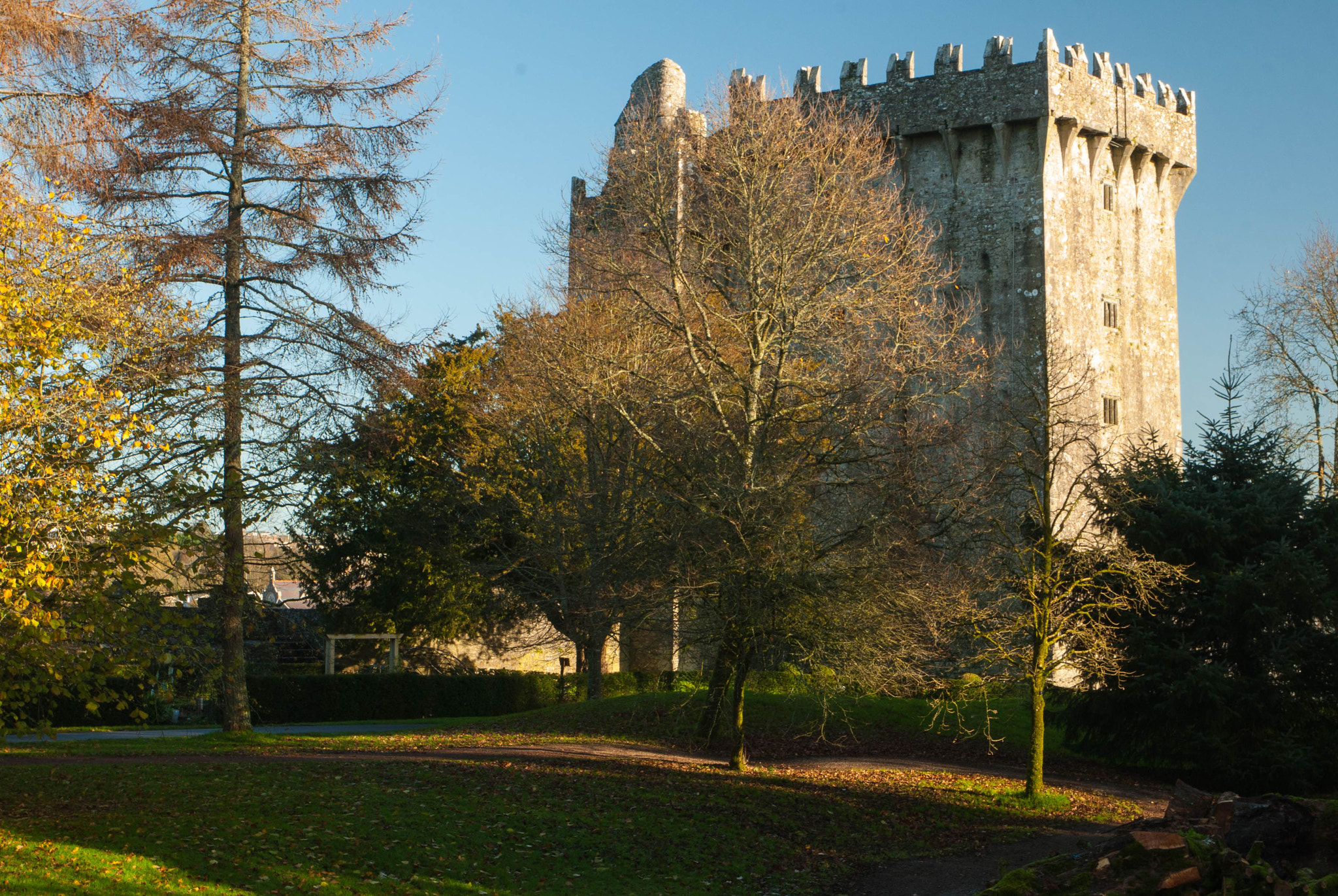 Nikon D200 sample photo. Ireland photography