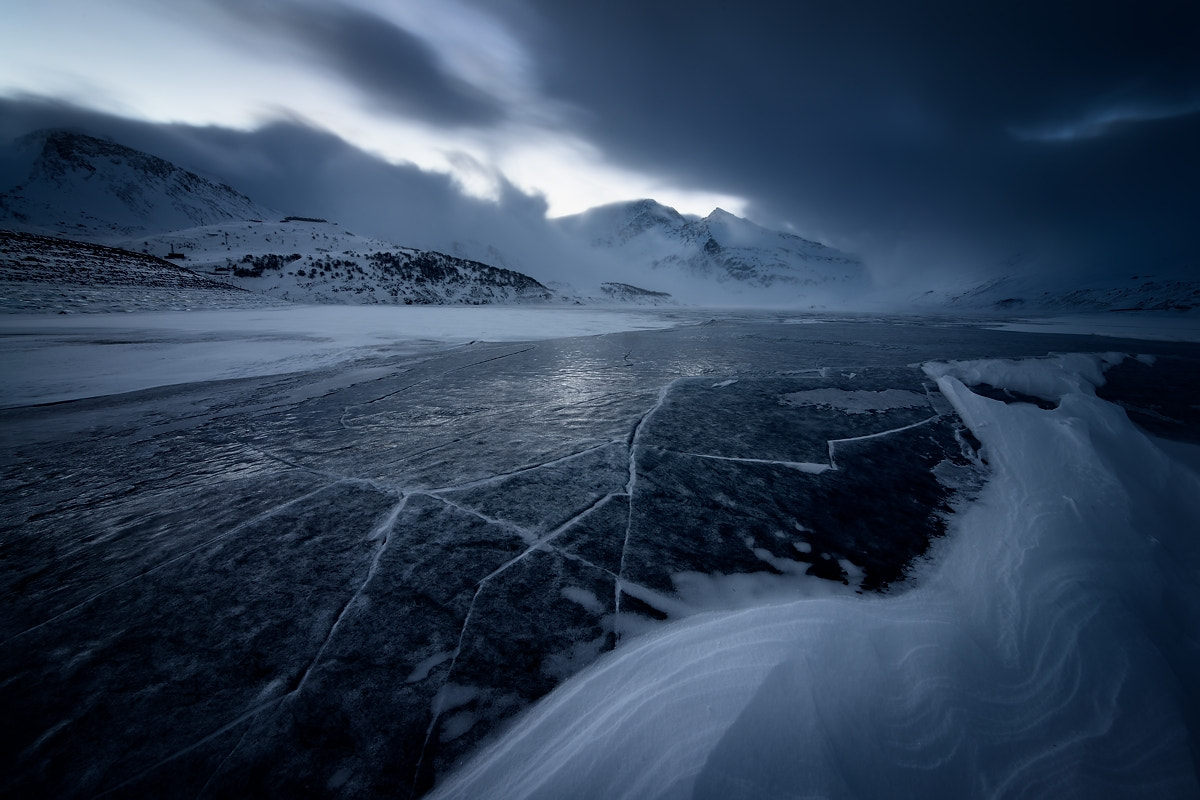 Nikon D800 sample photo. The grip of ice photography