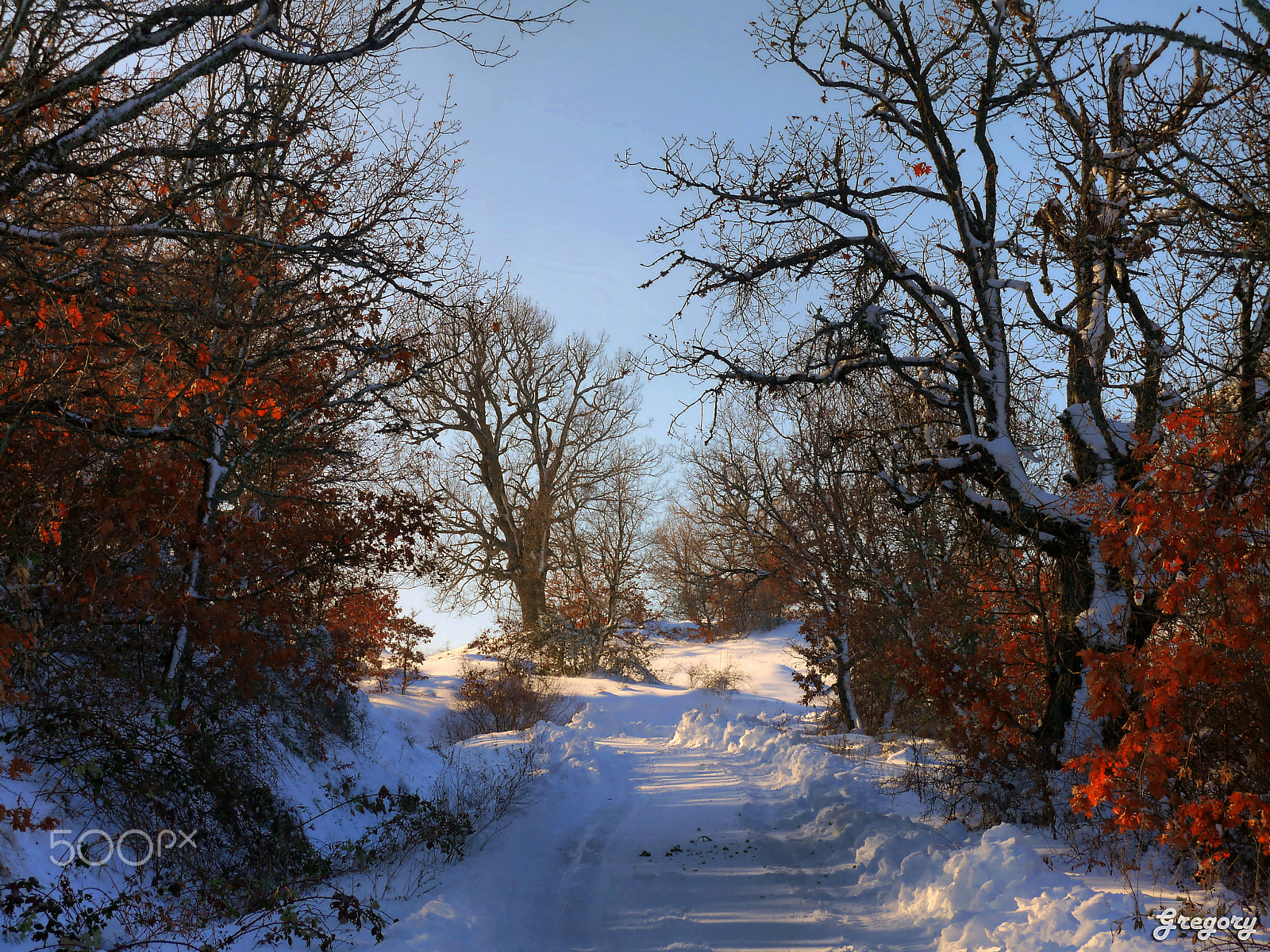 Panasonic Lumix DMC-G10 sample photo. Winter photography