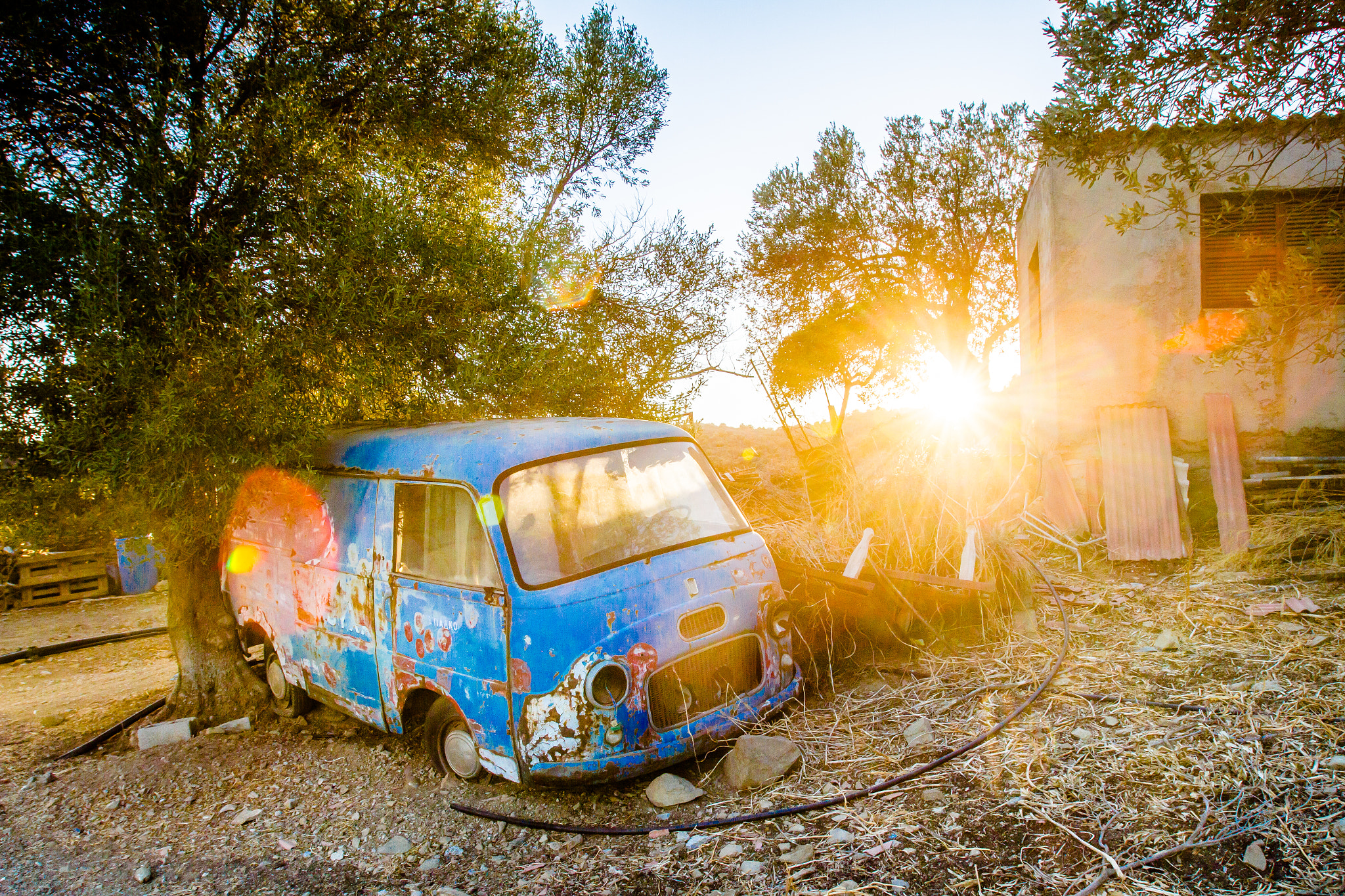 Canon EOS 7D + Canon EF 16-35mm F2.8L USM sample photo. The old van and the tree photography