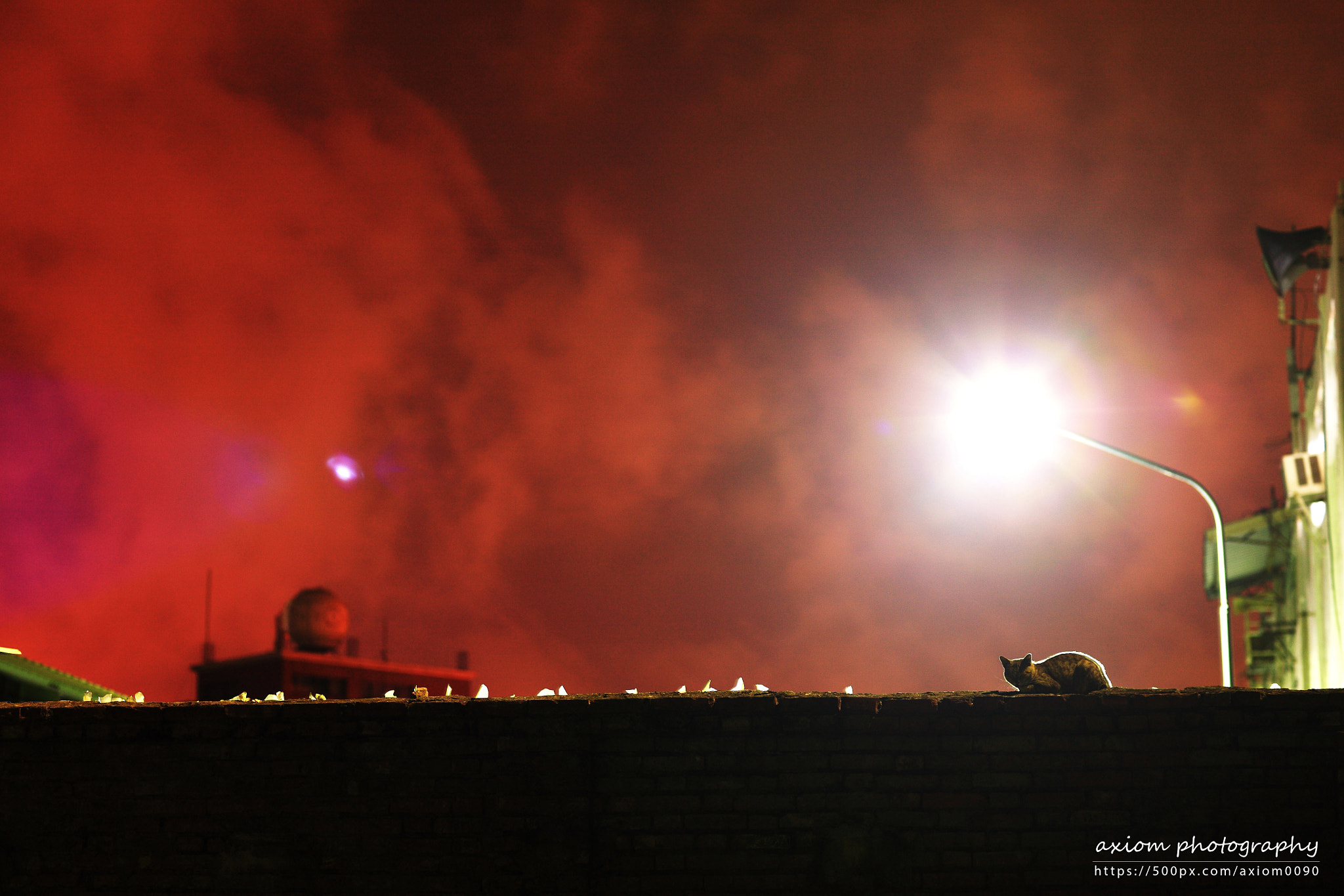 Canon EOS 5D + Canon EF 85mm F1.2 sample photo. Cat at night photography