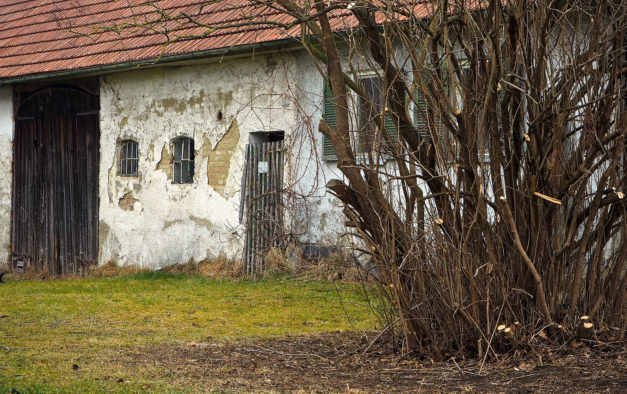 Olympus OM-D E-M5 II sample photo. Abandoned in ried photography