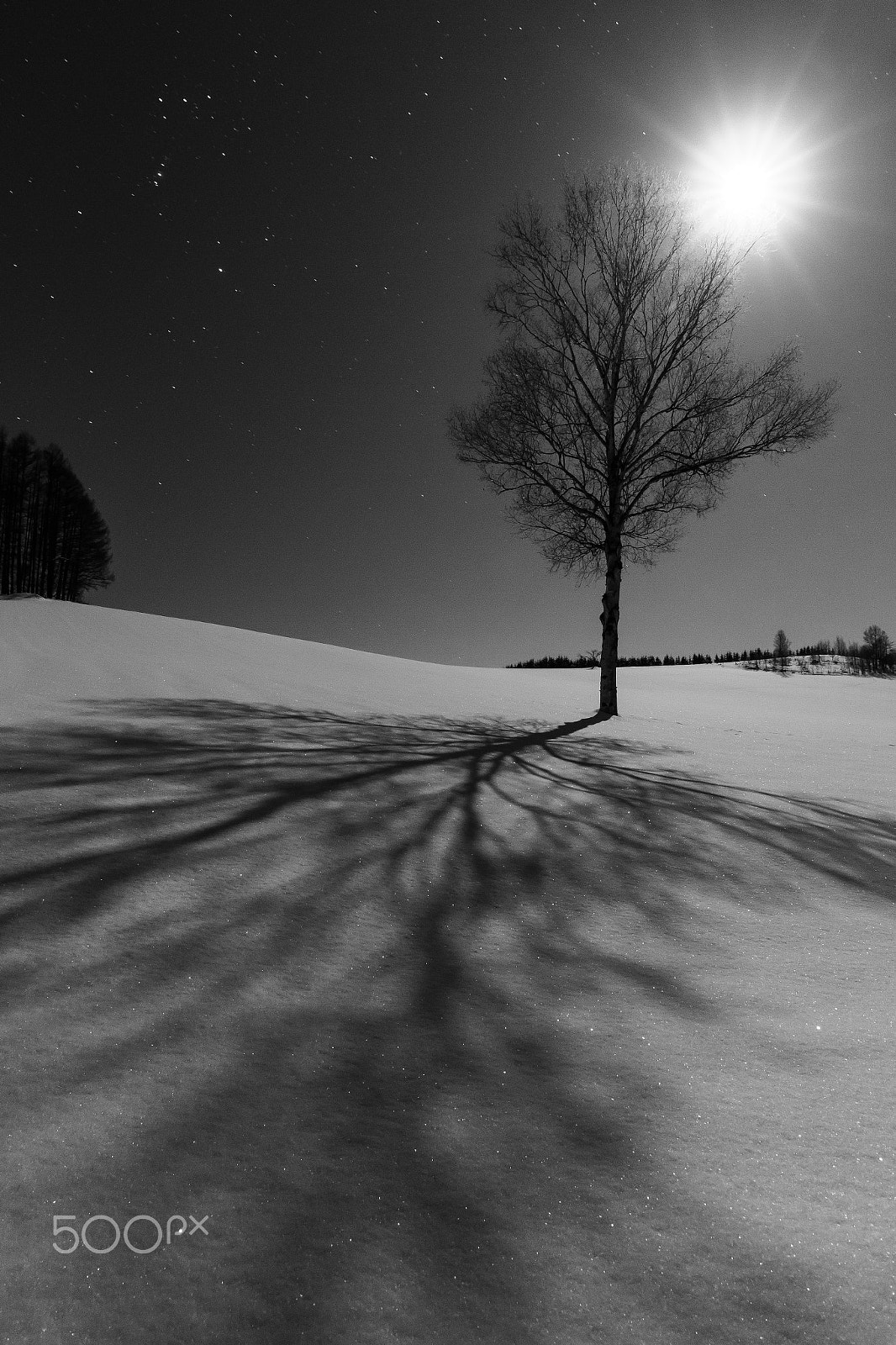 Canon EOS 6D sample photo. 月光と影と雪の輝き photography