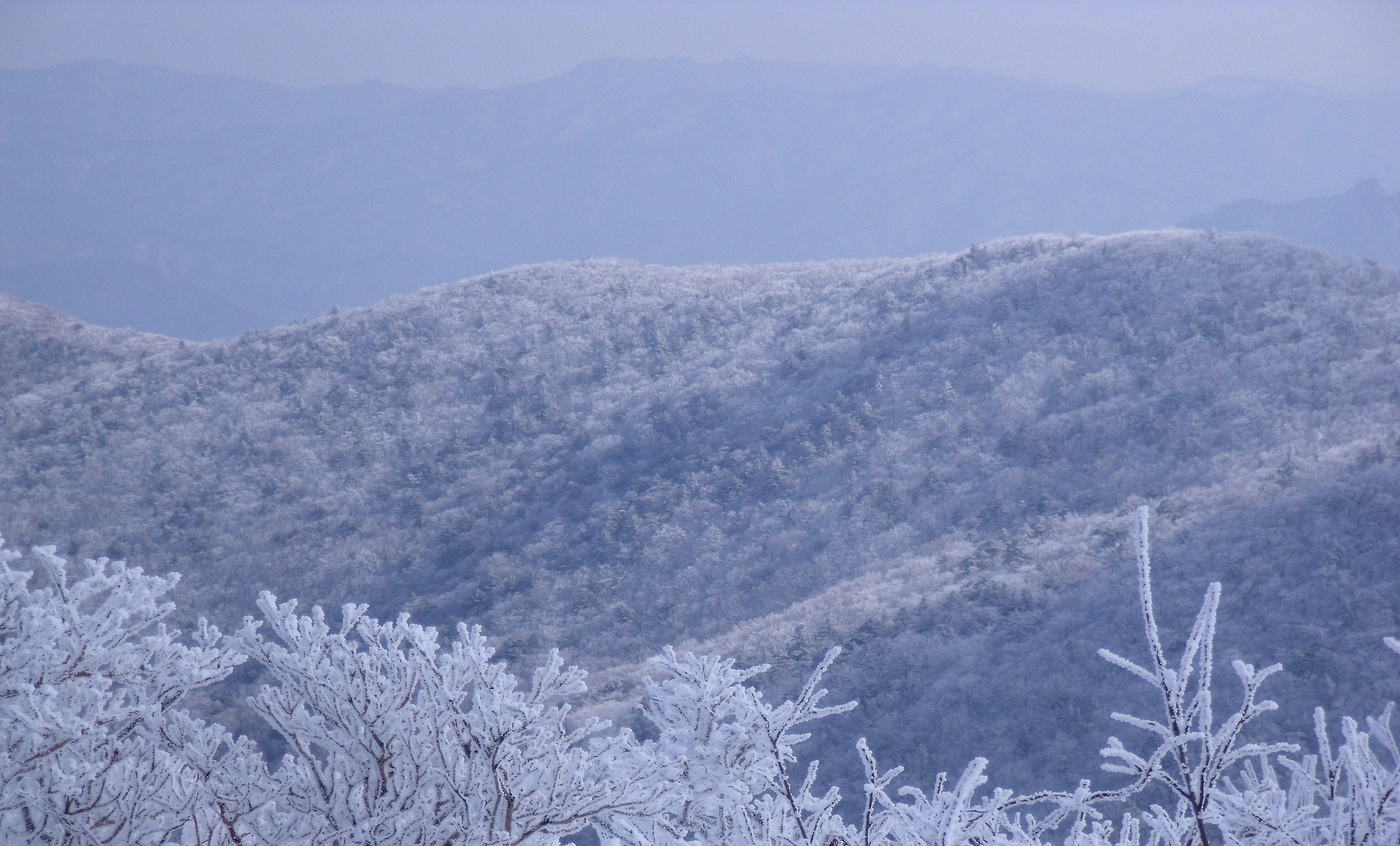 Fujifilm FinePix J110W sample photo. Frosted mountain photography