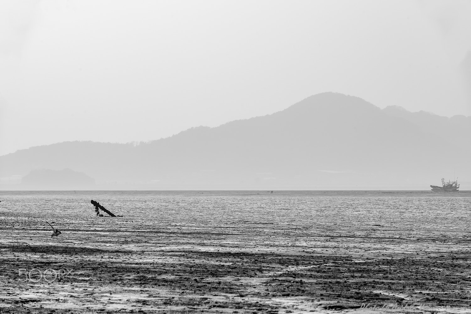 Nikon AF-S Nikkor 70-200mm F2.8G ED VR II sample photo. Calm photography