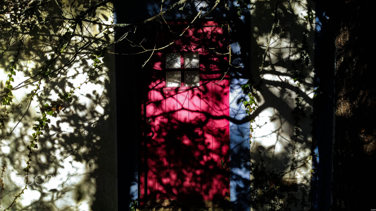 ASUS ZenFone Max (ZC550KL) sample photo. "consumed by the shadows" [8192 x 4608] photography