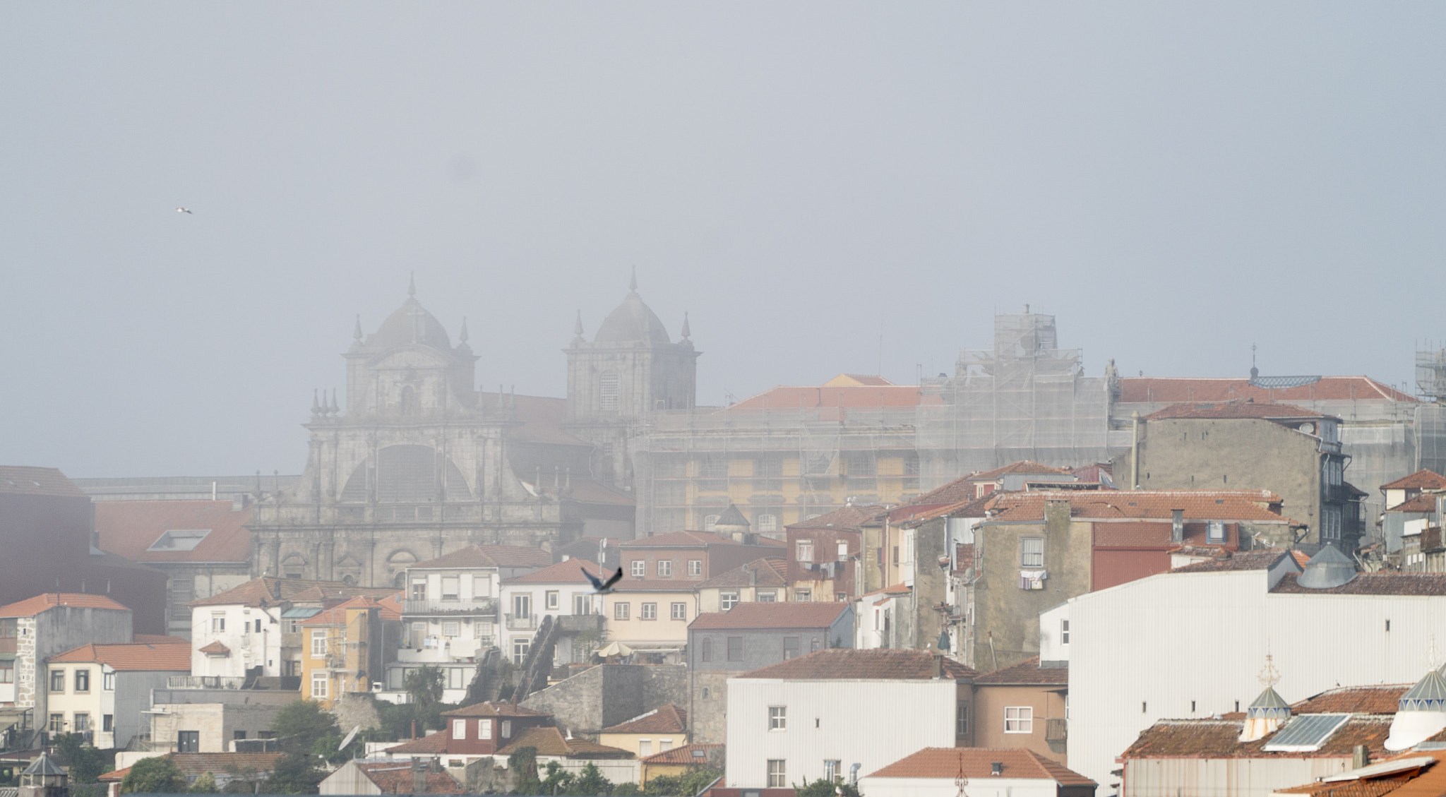 Sony a7S + Sony FE 70-200mm F4 G OSS sample photo. Porto old town photography