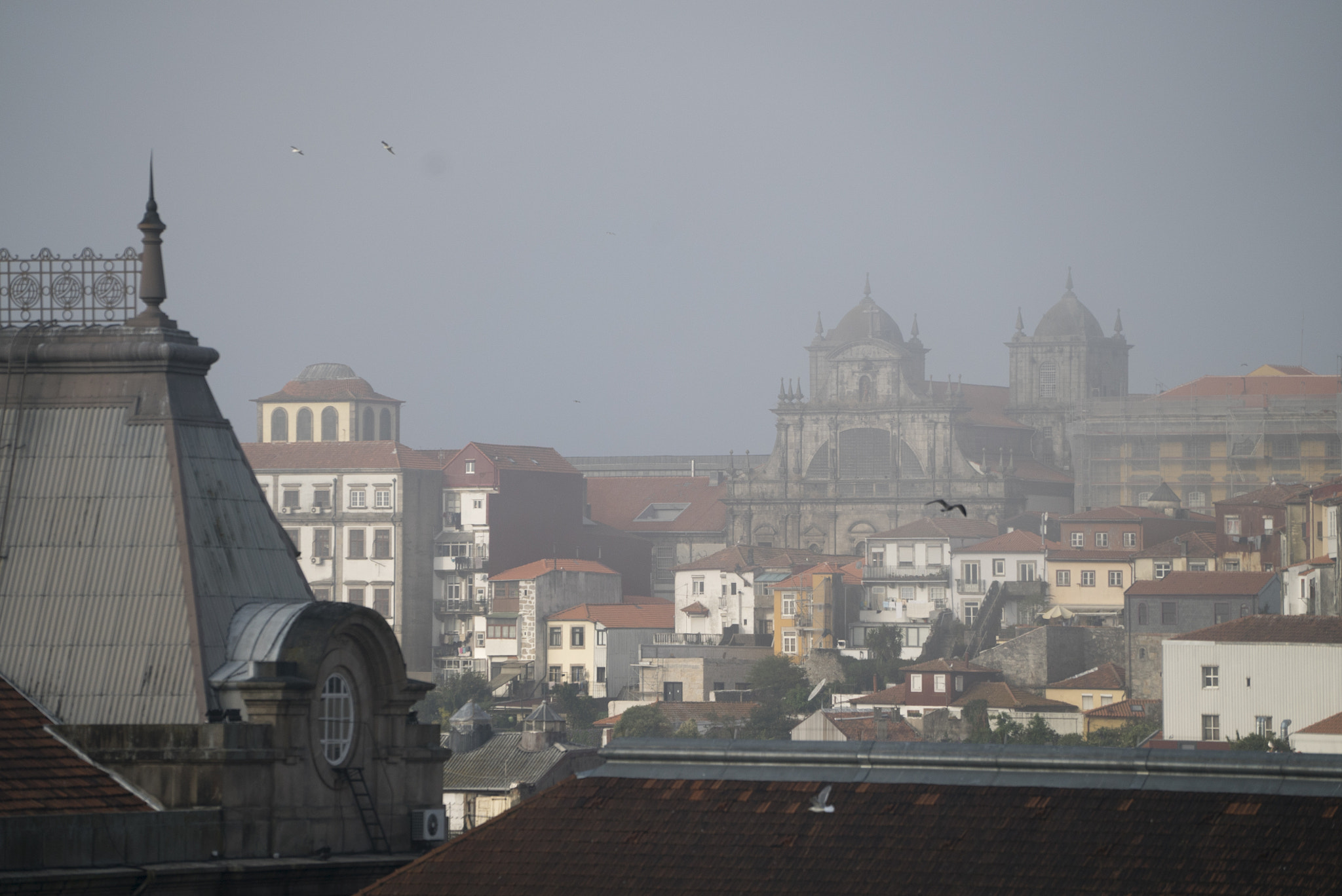Sony a7S + Sony FE 70-200mm F4 G OSS sample photo. Porto old town photography