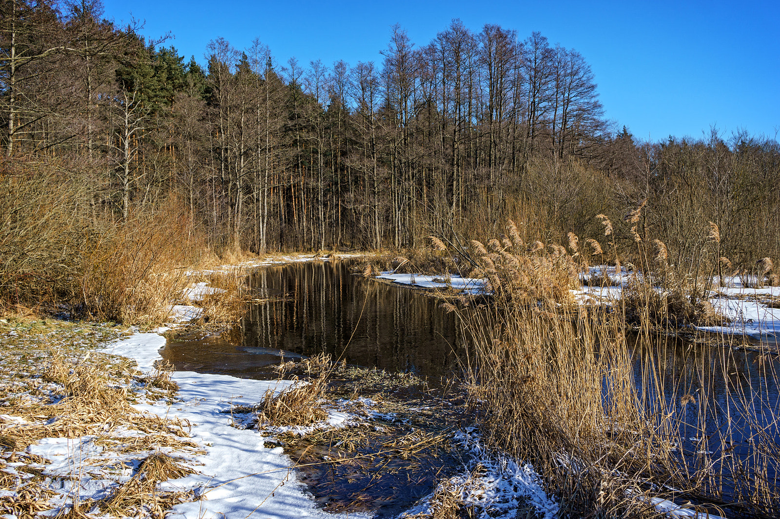 Sony a6000 sample photo. Frosty february morning photography