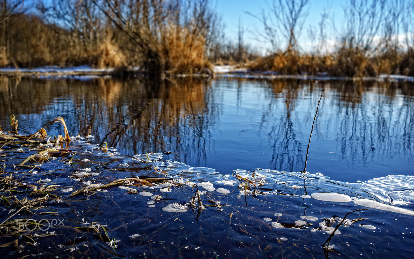 Sony E 20mm F2.8 sample photo. Frosty february morning photography