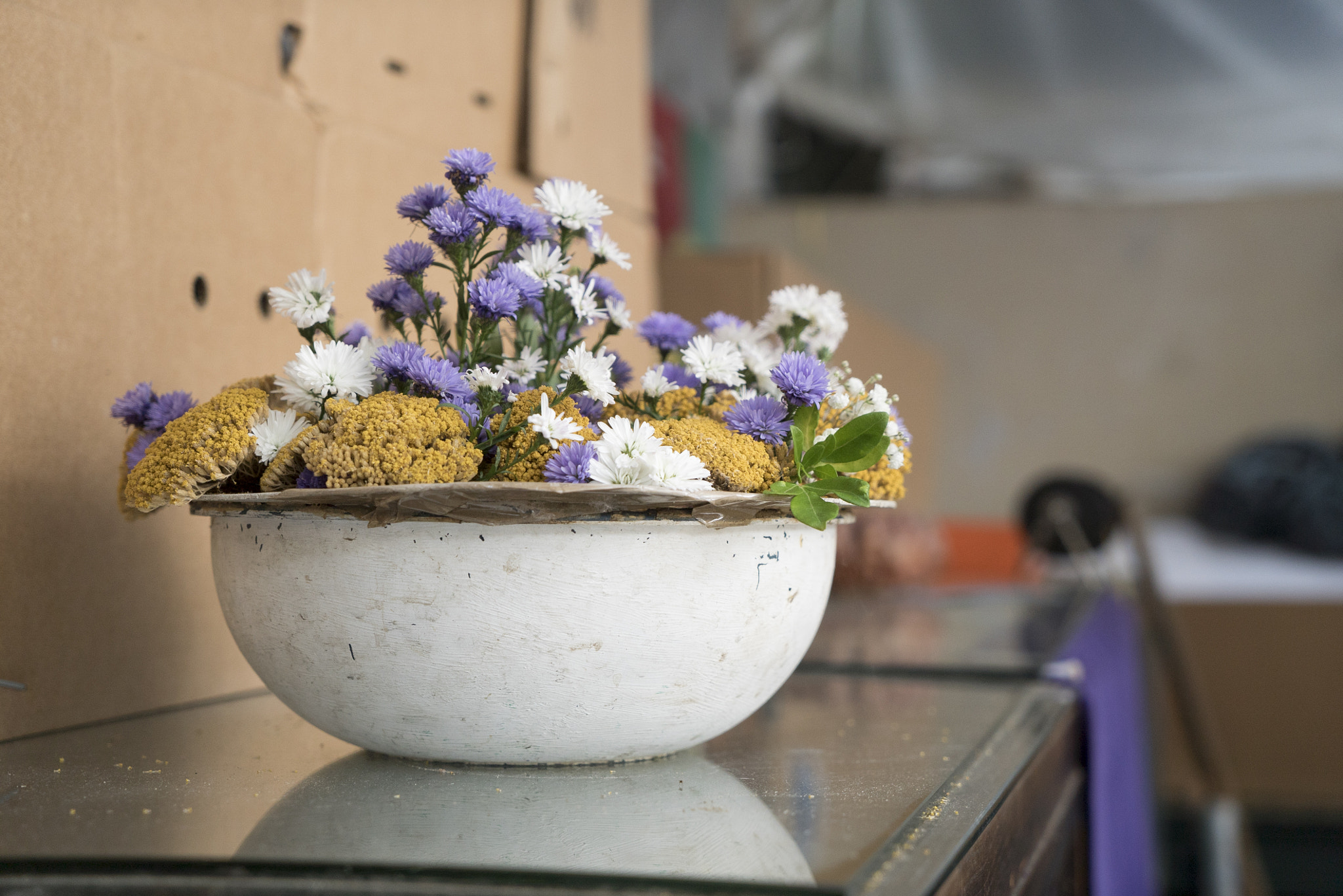 Sony a7S + Sony Vario Tessar T* FE 24-70mm F4 ZA OSS sample photo. Dry flowers photography