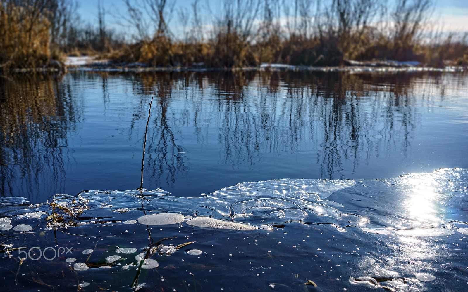 Sony a6000 sample photo. Frosty february morning photography