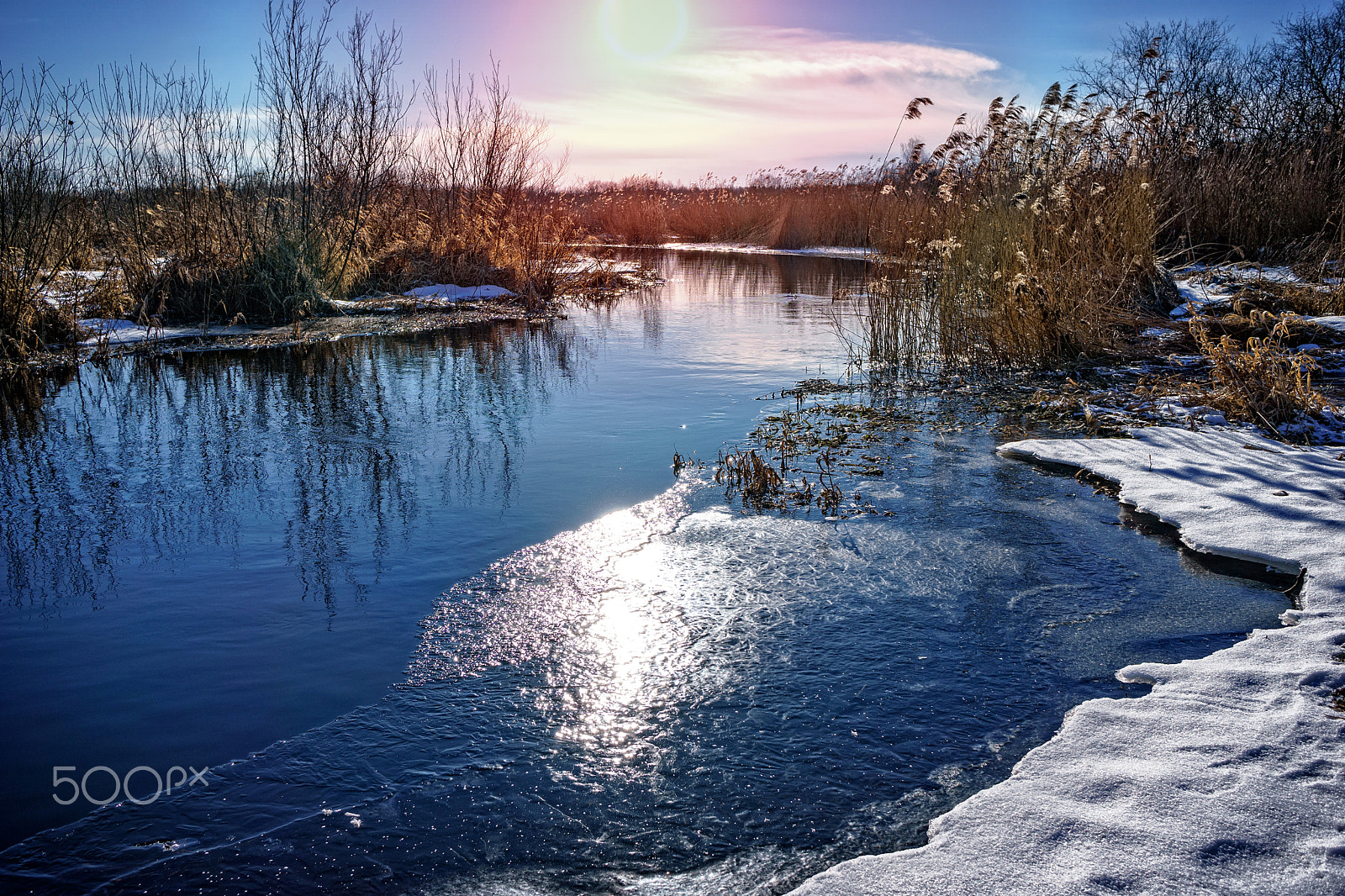 Sony E 20mm F2.8 sample photo. Frosty february morning photography