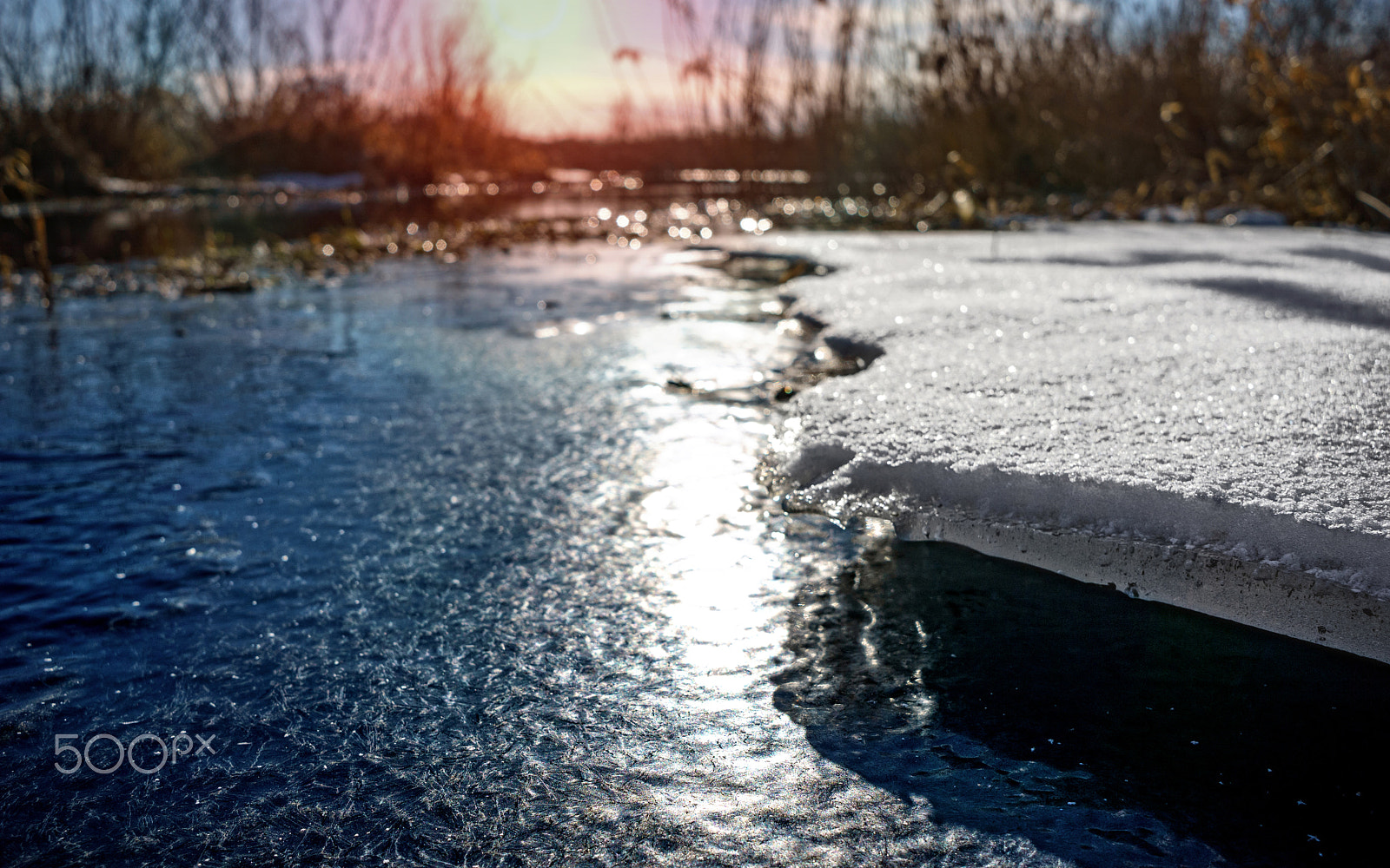 Sony a6000 sample photo. Frosty february morning photography