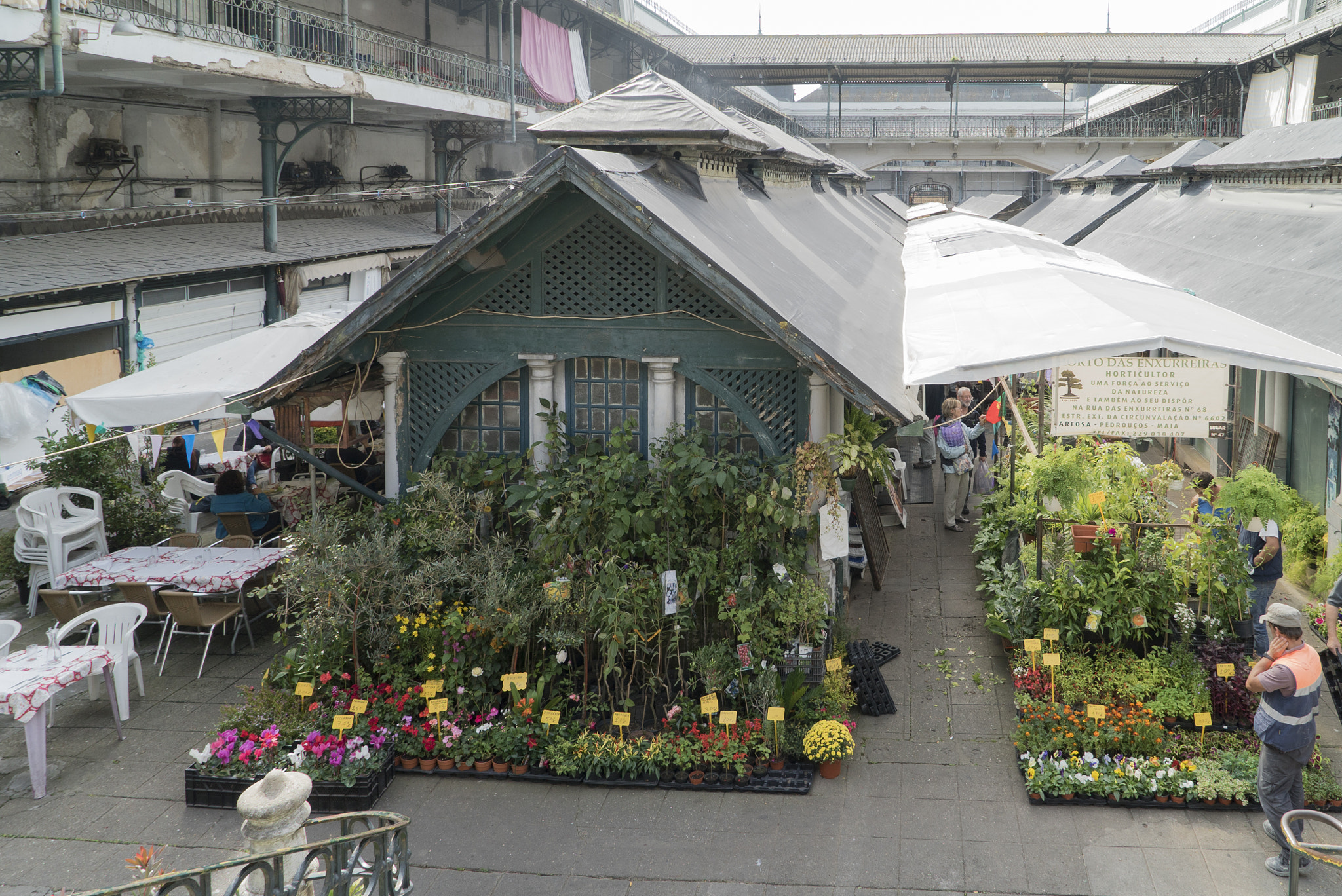 Sony a7S + Sony Vario Tessar T* FE 24-70mm F4 ZA OSS sample photo. Bolhao market photography