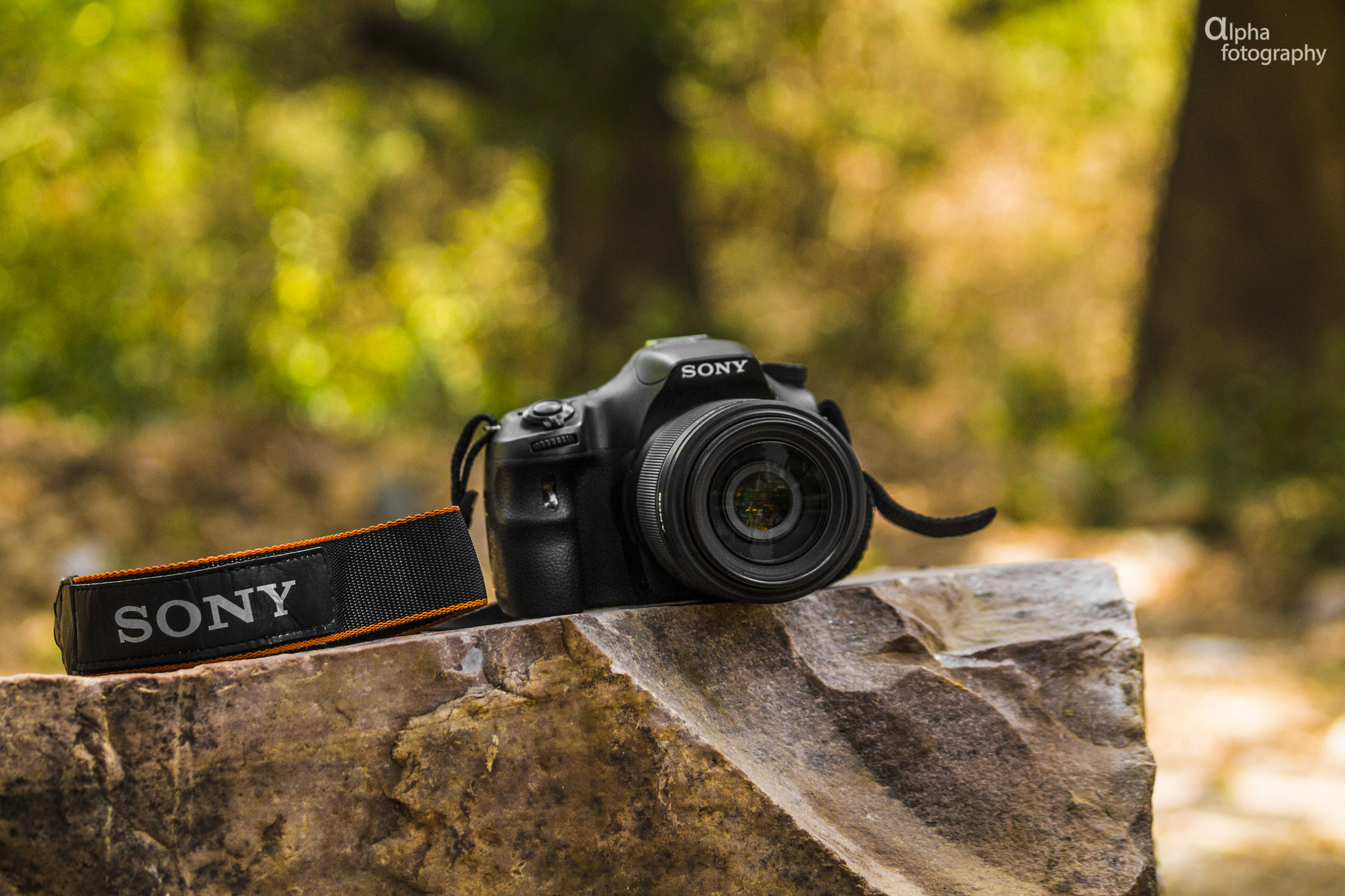 Canon EF-S 55-250mm F4-5.6 IS sample photo. The only legal weapon to shoot.. photography