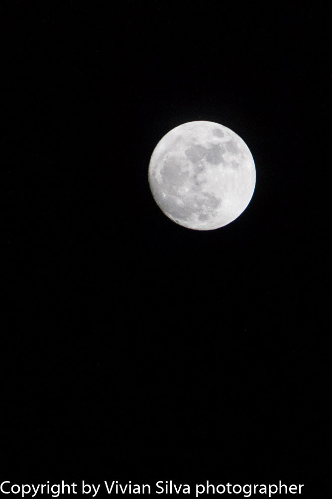 Canon EOS 40D sample photo. Super moon photography