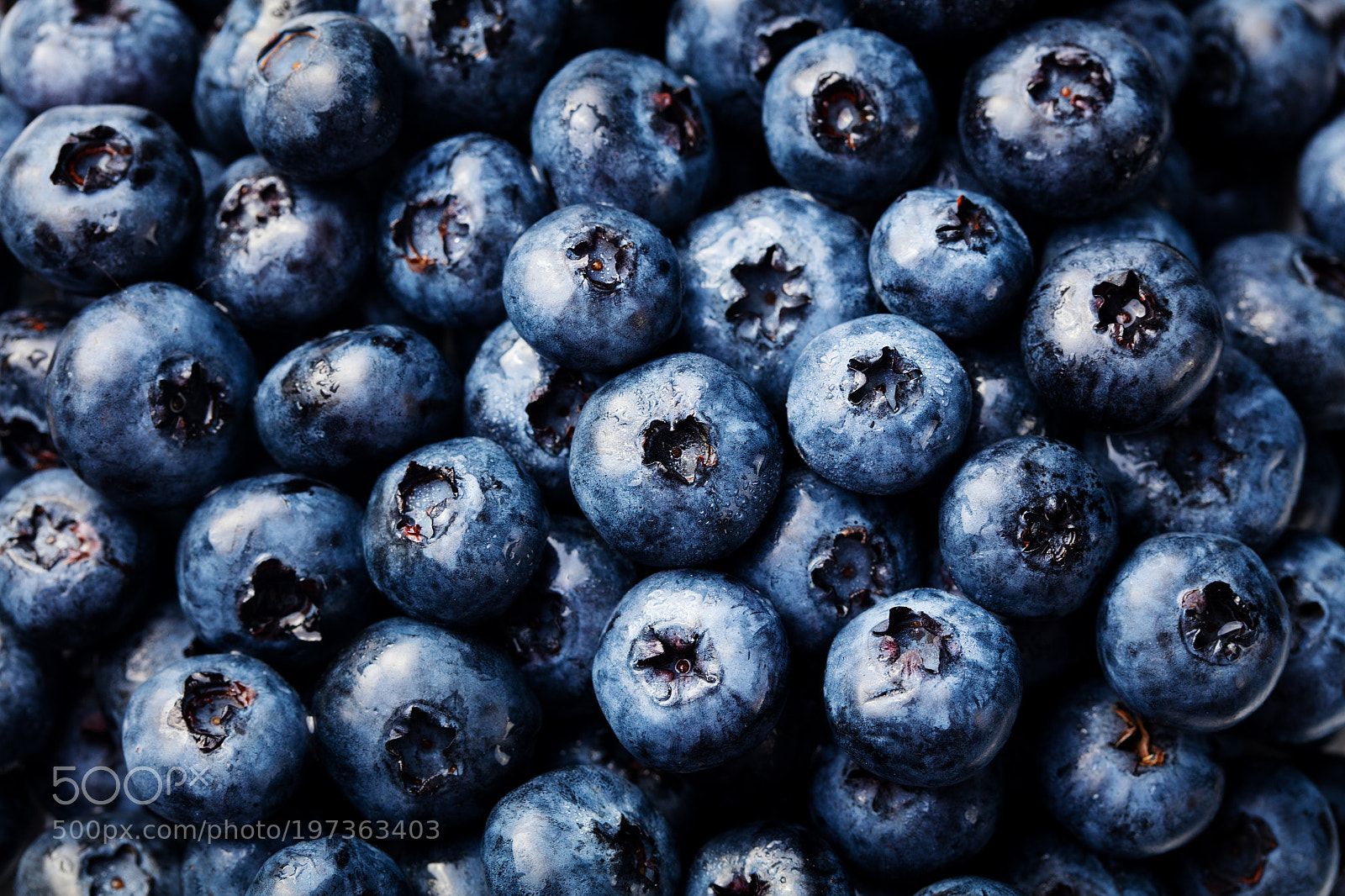 Canon EOS 5DS sample photo. Blueberries background photography