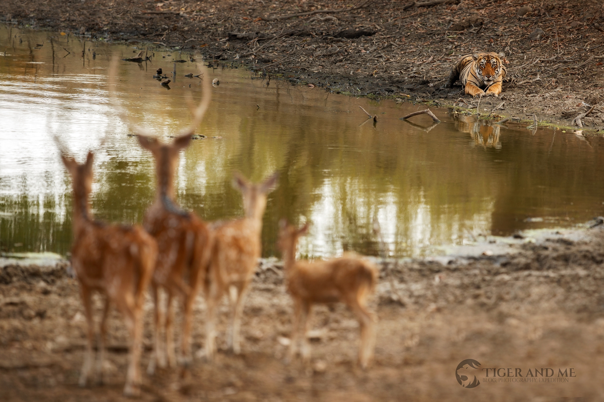 Canon EF 300mm F2.8L IS II USM sample photo. One step closer photography