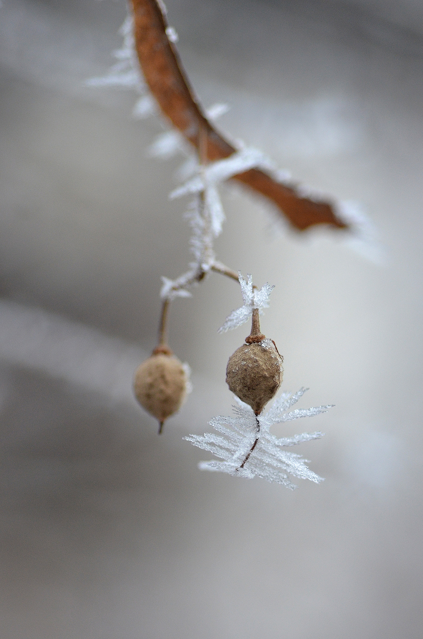 Nikon D7000 sample photo. Couple photography