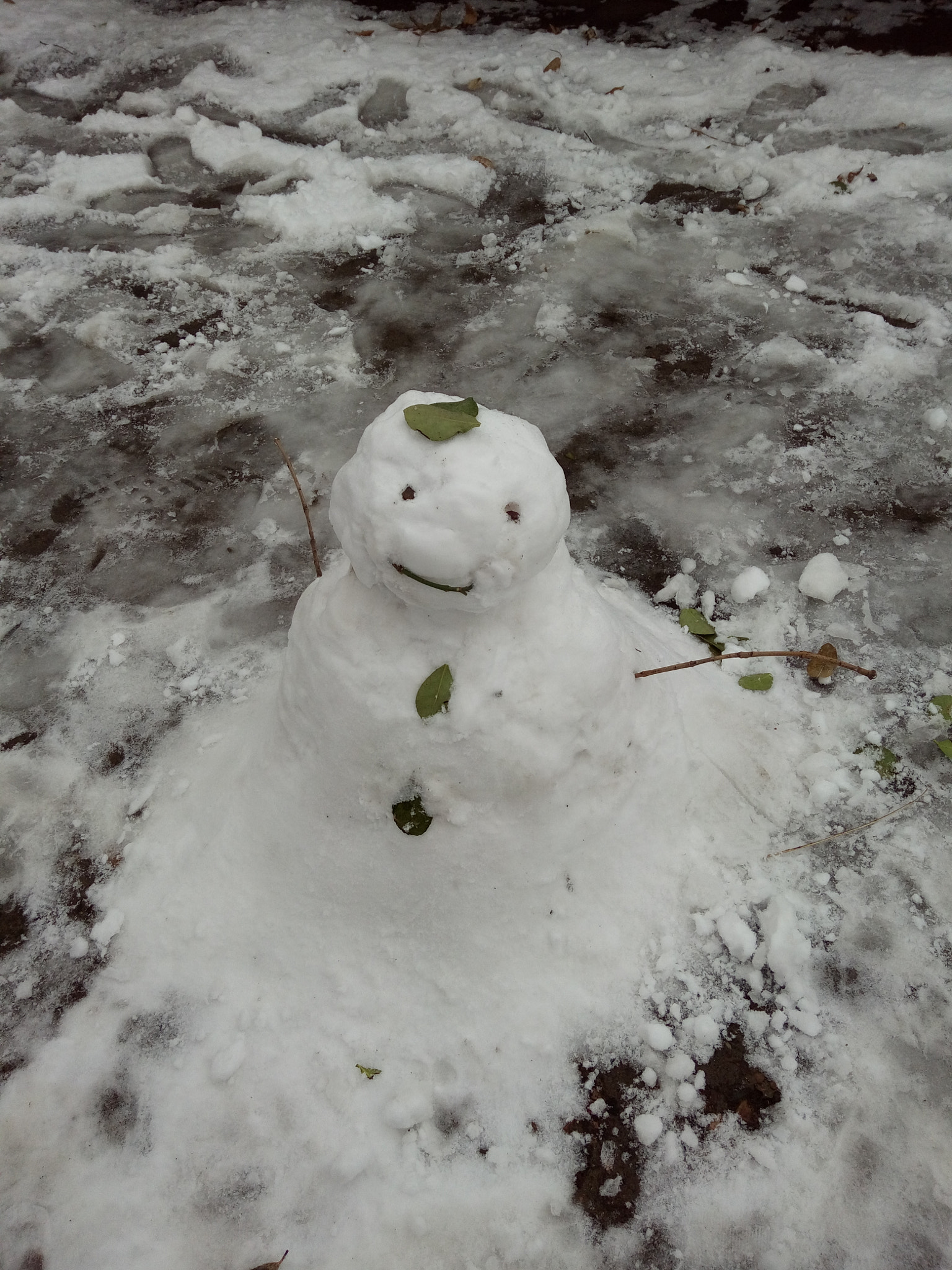 vivo X6D sample photo. Snowman！ photography