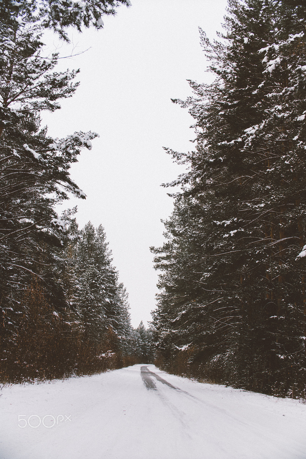 Sony a6300 + Canon EF 70-200mm F4L USM sample photo. Road through a forest photography