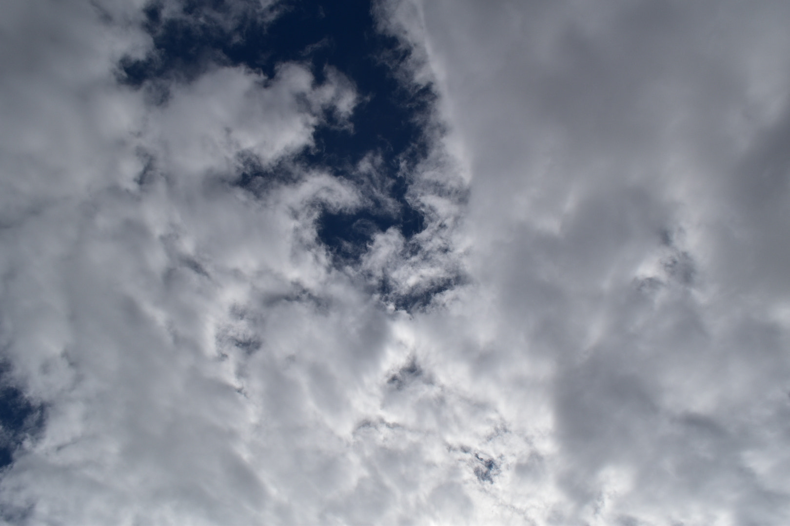 Nikon D5500 sample photo