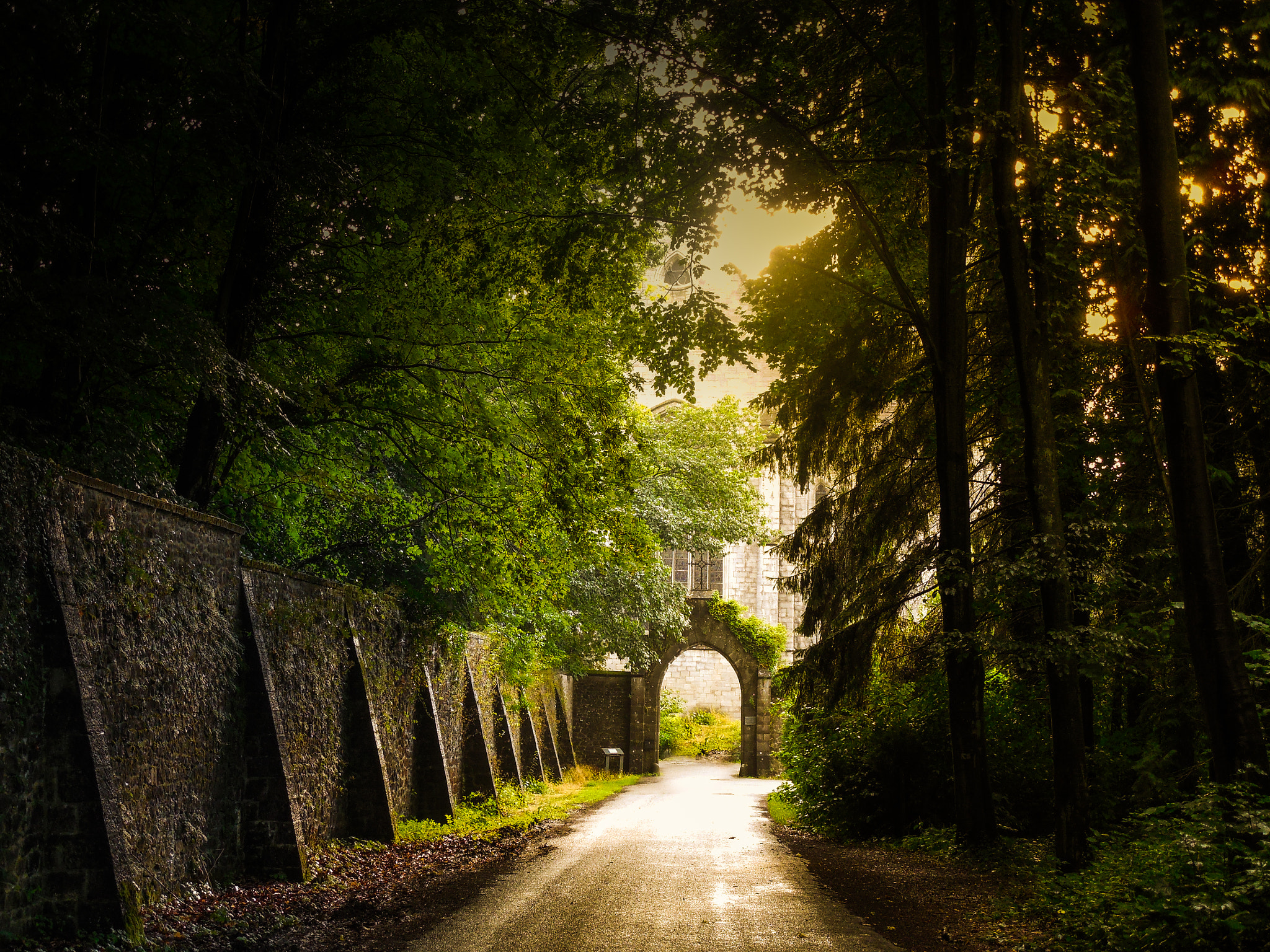 Nikon Coolpix L610 sample photo. Abbaye de maredret photography