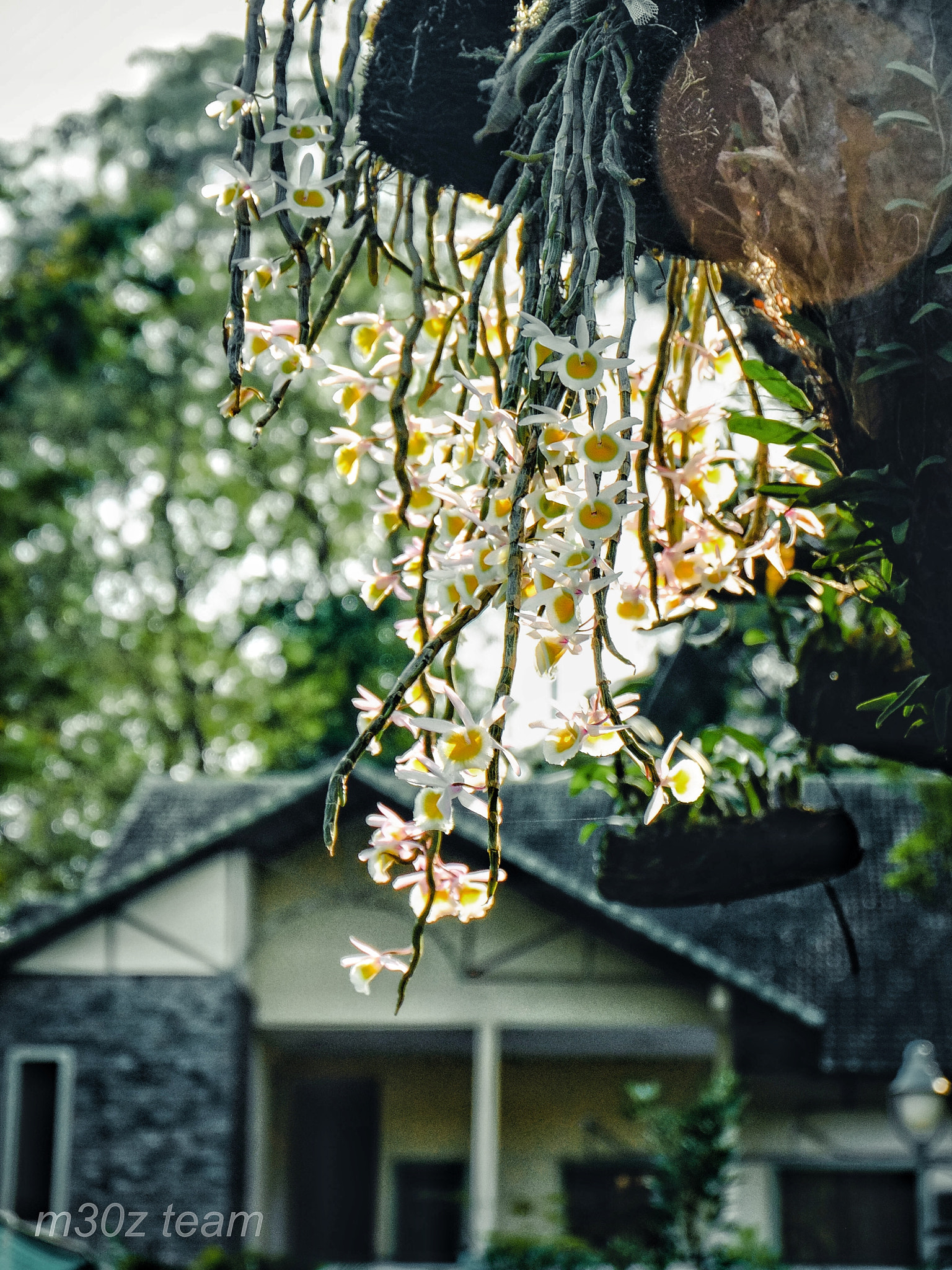Fujifilm XC 16-50mm F3.5-5.6 OIS II sample photo