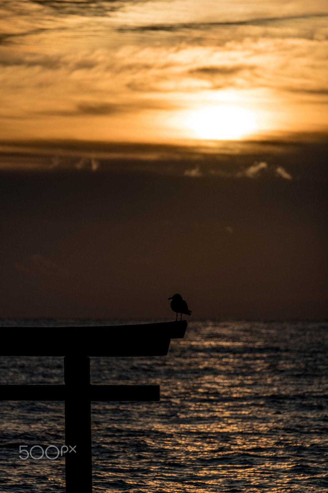 Sony 70-400mm F4-5.6 G SSM II sample photo. Kamiiso-3 photography