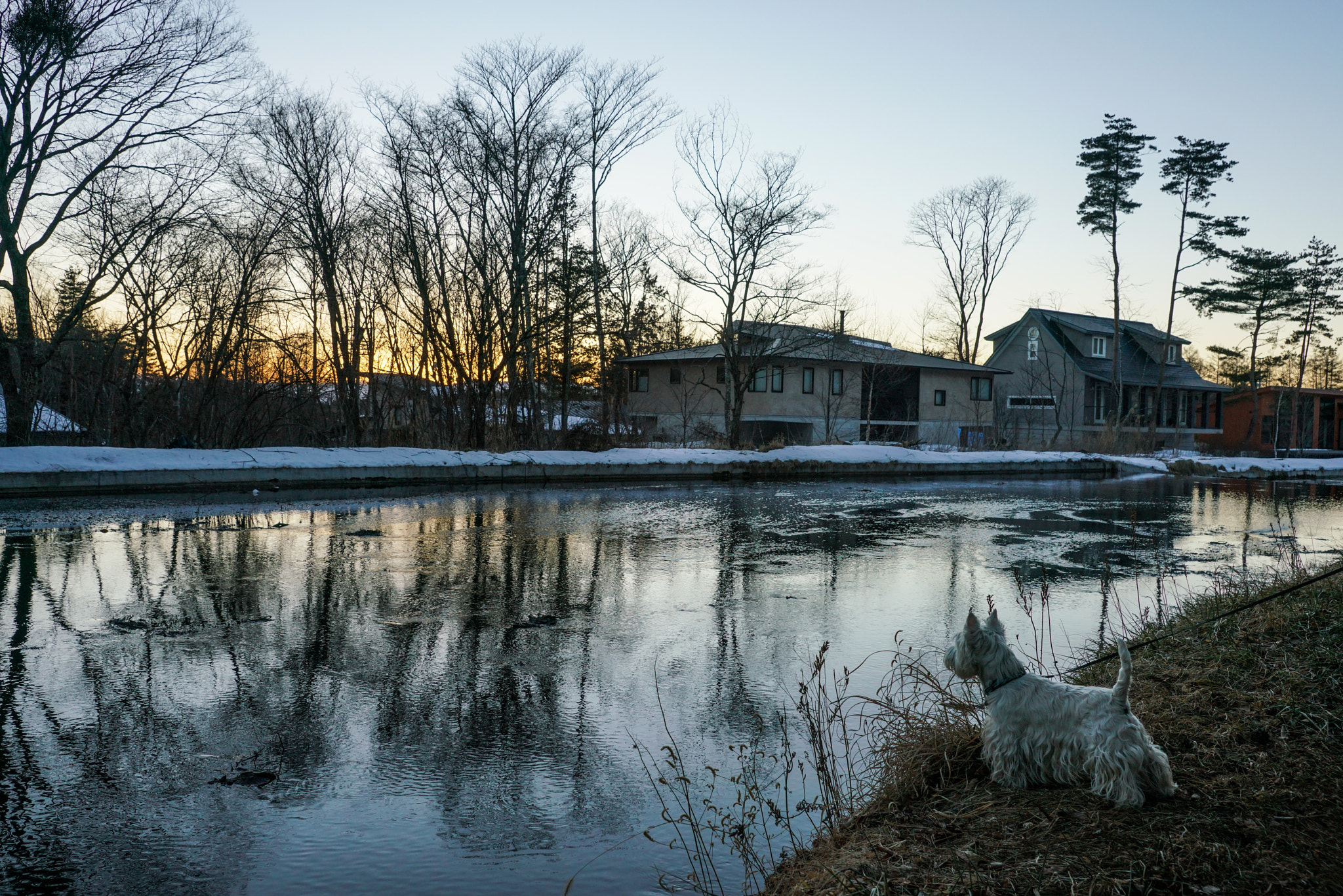 Sony a99 II sample photo. Winter promenade photography