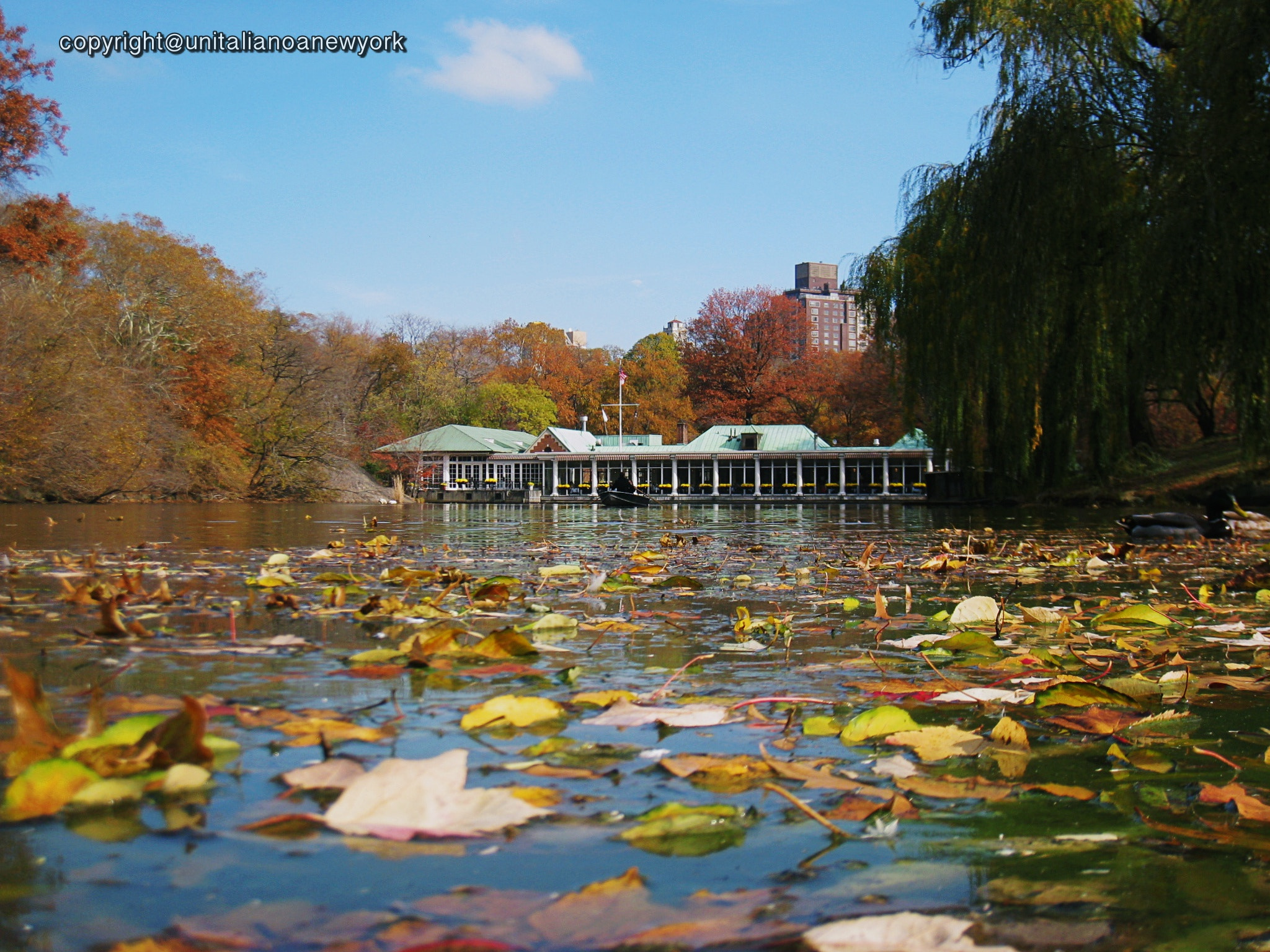 Canon POWERSHOT SD870 IS sample photo. Central park nyc photography