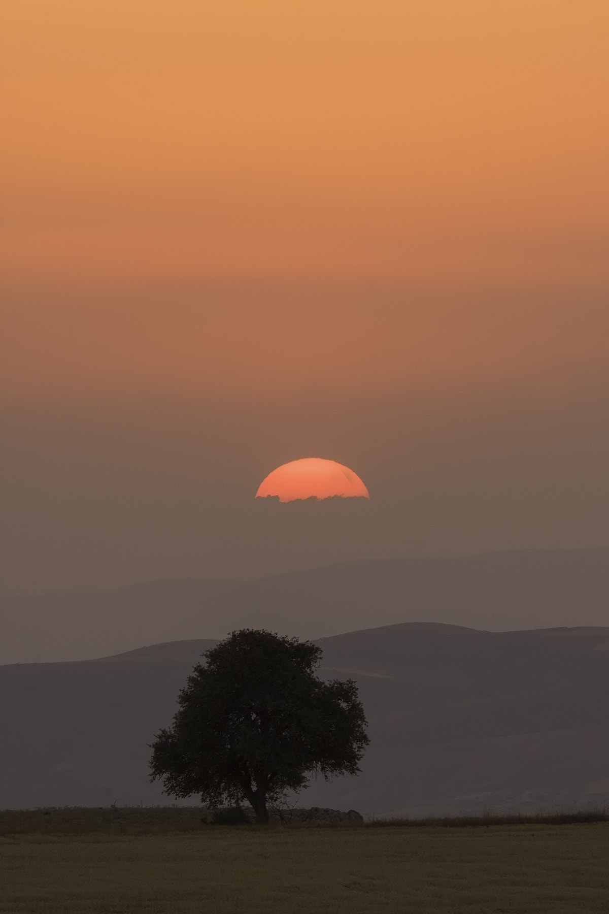 Canon EF 300mm F2.8L IS USM sample photo. Ankara sunset photography